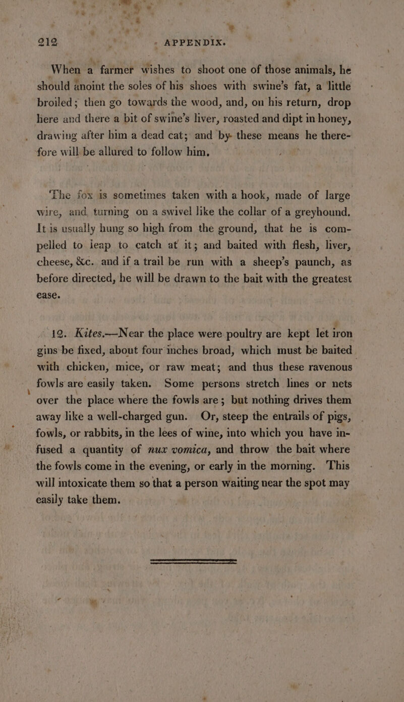 peer ¥ 212 a, - APPENDIX. When a writ Wishes to shoot one of those animals, he should anoint the soles of his shoes with swine’s fat, a little broiled; then go towards the wood, and, on his return, drop here and there a bit of swine’s liver, roasted and dipt in honey, drawing after him a dead cat; and by these means bb there- fore will be allured to follow him. ‘The fox is sometimes taken with a hook, made of large wire, and, turning on a swivel like the collar of a greyhound. It is usually hung so high from the ground, that he is com- pelled to ieap to catch at it; and baited with flesh, liver, cheese, &amp;c. and if a trail be run with a sheep’s paunch, as before directed, he will be drawn to the bait with the greatest ease. 12. Kites—Near the place were poultry are kept let iron - gins be fixed, about four inches broad, which must be baited with chicken, mice, or raw meat; and thus these ravenous fowls are easily taken. Some persons stretch lines or nets over the place where the fowls are; but nothing drives them away like a well-charged gun. Or, steep the entrails of pigs, fowls, or rabbits, in the lees of wine, into which you have in- fused a quantity of mux vomica, and throw the bait where the fowls come in the evening, or early in the morning. This will intoxicate them so that a person waiting near the spot may easily take them.