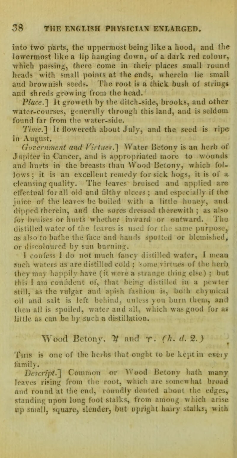 into two parts, the uppermost being like a liood, and the lowermost like a lip hanging down, of a dark red colour, which passing, there come in their places small round heads with small jjoints at the ends, wherein lie small and brownish seeds. The root is a thick bush of strings and shreds growing from the head. P/are.] It growetli by the ditch-side, brooks, and other water-courses, generally througii this land, and is seldom found far from the w'ater-side. Time.'] It llowcrcth about July, and the seed is ripe in August. Government and Virtue^.] Water Betony is an herb of Ju])iter in Cancer, and is appropriated more to wounds and hurts in the breasts (ha»i Wood Betony, which fol- lows : it is an excellent remedy for sick hogs, it is of a cleansing quality. The leaves bruised and applied are circctual for all old and filthy ulcers; and especially if tiic juice of the leaves be boiled w ith a little honey, ami dipped therein, and the sores dressed therewith ; as also for bruises or hurts whether inward or outward. J'hc \ distilled water of the leaves is used for the same purpose, as also to bathe the face and hands spotted or blemished, or discoloured by sun barning. 1 confess 1 do not much fancy distilled water, I mean such waters as are distilled cold ; some virtues of the herb they mav happily have (it were a stiauge thing else) ; but this 1 am conlident of, that being di^tilUd in a jiewter still, as the vulgar and ajiisli fashion is, both chymical oil and salt is left behind, unless you burn them, and then all is spoiled, water and all, which was good for us little as can be by such a distillation. Wood Betony. 2/ and T- (h. <(. 2.) ^ Ttns is one of (he herbs that ought to be kept in eveiy family. Descript.] Common or AVood Betony bath many loaves rising from the root, winch are somewhat broad and round at the end, roundly dented about the edges, standing upon long foot stalks, from among which arise uj) small, square, slender, but upright hairy stalks, with