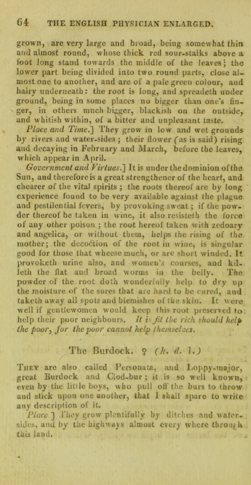 grown, are very large and broad, being somewhat thin and almost round, whose thick red soiir-stalks above a loot Jong stand towards the middle of the leaves; the lower part being divided into two round parts, close al- most one to another, and are of a pale green colour, and hairy underneath: the root is long, and spreadeth under ground, being in some places no bigger than one’s fin- ger, in others much bigger, blackish on the outside, and whitish within, of a hitter and unpleasant taste. Place and Time.'] They grow in low and wet grounds by rivers and water-sides ; their llower (as is said) rising mid decaying in February and March, before the leaves, which appear in April. Government and Firlues.] It is under thedominion ofthc Sun, and therefore is a great strengthencr of the heart, and cliearer of the vital spirits ; the roots thereof are by long experience found to be very available against the jilague and pestilential fevers, by provoking sweat; if the pow- der thereof be taken in wine, it also resisteth the force of any other poison ; the root hereof taken with zedoary and angelica, or without them, helps the rising of the mother; the decoction of the root in wine, is singular good for those, that whecsemucli, or are short winded. It provoketh urine also, and womerrs courses, and kil- leth the Hat and broad worms in the belly. The powder of the root doth wonderfully help to drv up the moisture of the sores that are Jiard to be cured, and tuketh away all spots and blemishes of the skin. It were well if gentlewomen would keep this root preserved to help their poor neighbours. It is Jit the rich .should helft tJie poory for the poor cannot help (hennciocs. The Burdock. ? (h. d. 1.) They are also called l^rsonata, and Imppy.major, great Burdock and Clod-bur; it is so well known, even by the little boys, who pull oft the burs to throw and stick upon one another, that I shall spare to write any description of it. Place ] riu'v grow plentifully by ditches and water- sides, and by the highways almost every where through this land.