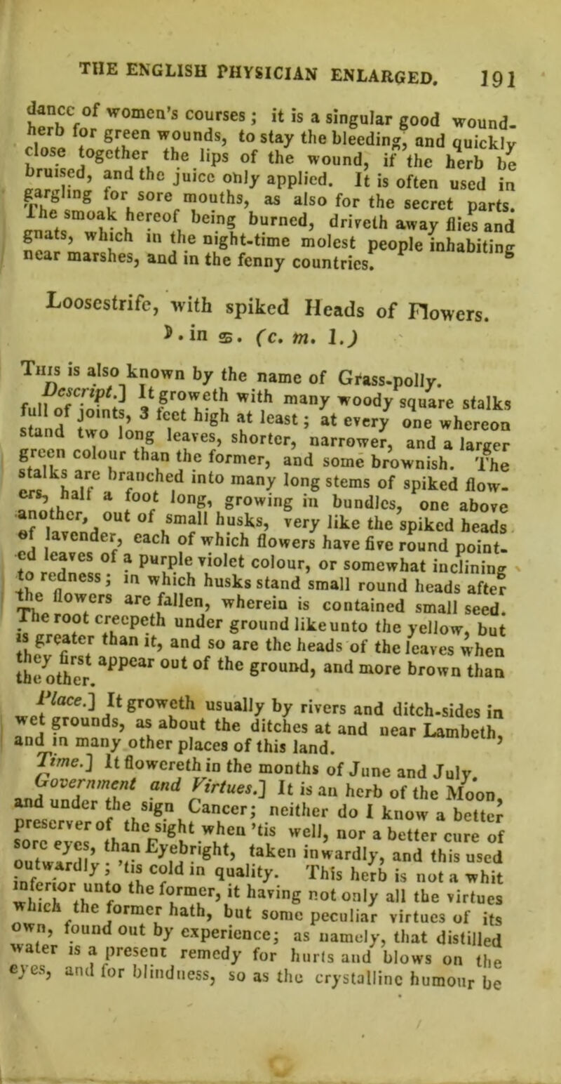 dance of women’s courses; it is a singular good wound- herb for green wounds, to stay the bleeding, and quickly close together the lips of the wound, if’the h^rb be bruised, and the juice only applied. It is often used in for sore mouths, as also for the secret parts. ^ burned, driveth away flies and gnats, which in Uie night-time molest people inhabiting near marshes, and in the fenny countries. Loosestrife, with spiked Heads of Flowers. in Cc, m, l.J This is also known by the name of Grass-polly. f II tgroweth with many woody square stalks IrinH '■’S'' «e whercoo Stand two long leaves, shorter, narrower, and a larger brownish. The onofh ^ growing in bundles, one above ■another, out of small husks, very like the spiked heads « lavender, each of which flowers have five round point- rprtr! ^ pyepie violet colour, or somewhat inclining ^ to redness; in which husks stand small round heads aftef therein is contained small seed' c*-ecpeth under ground like unto the yellow, but greater than it, and so are the heads of the leaves when the otS F/oce.] It groweth usually by rivers and ditch-sides in et grounds, as about the ditches at and near Lambeth, and in many other places of this land. Time.] It flowereth in the months of June and July and Fzr/ues.J It is an herb of the Moon and under the sign Cancer; neither do I know a bettcj preserver of the sight when ’tis well, nor a better cure of ru't'»?rdl’ taken inwardly, and this used inferior imJ Ih ^ quality. This herb is not a whit which fhp f the former. It having not only all the virtues ormcr hath, but some peculiar virtues of its own, found out by experience; as namely, that distilled 'water is a present remedy for hurts and blows on the eyes, and for blindness, so as the crystalline humour be