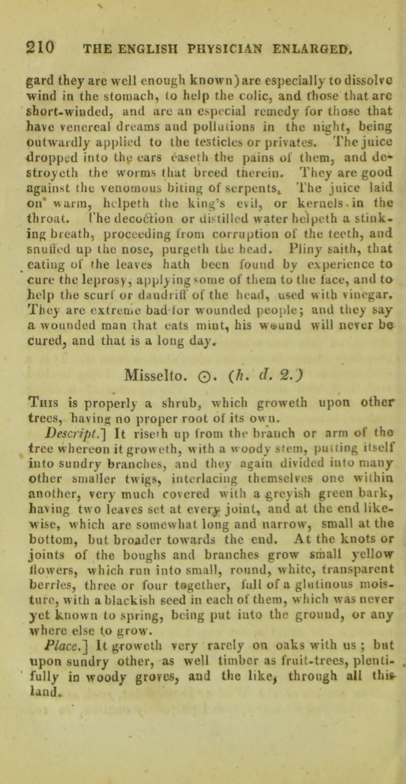 gard they are well enough known) are especially to dissolve wind in the stomach, to help the colic, and those that arc short-winded, and are an especial remedy for those that have venereal dreams and pollutions in the night, being outwardly applied to the testicles or privates. The juice dropped into thp ears easeth the pains of them, and de- stroyoth the worms that breed therein. They are good against the venomous biting of serpents.. The juice laid on’ warm, helpeth the king’s evil, or kernels, in the throat. The deco6tion or distilled water helpeth a stink- ing breath, proceeding from corruption of the teeth, and snulied up the nose, purgeth the head. Pliny saith, that eating of »he leaves hath been found by experience to cure the leprosy, applying some of them to the face, and to help the scurf or dandrilfof the head, used with vinegar. They are extreme bad tor wounded people; and they say a wounded man that eats mint, his wtound will never be cured, and that is a long day. Misselto. O. (//. d. 2.) This is properly a shrub, which groweth upon other trees, having no proper root of its ow n. Descript.'] It rise'h up from the branch or arm of tho tree whereon it groweth, w ith a woody stem, putting itself into sundry branches, and they again divided into many other smaller twigs, interlacing themselves one within another, very much covered with a greyish green bark, having two leaves sot at every joint, and at the end like- wise, which are somewhat long and narrow, small at the bottom, but broader towards the end. At the knots or joints of the boughs and branches grow small y'cllow llowers, which run into small, ro«ind, white, transparent berries, three or four together, fall of a glutinous mois- ture, with a blackish seed in each of them, which was never yet known to spring, being put into the ground, or any where else to grow. Place.l It groweth very rarely on oaks with us; but upon sundry other, as well timber as fruit-trees, plenti- fully in woody groves, and the like, through all Ihis- laud.