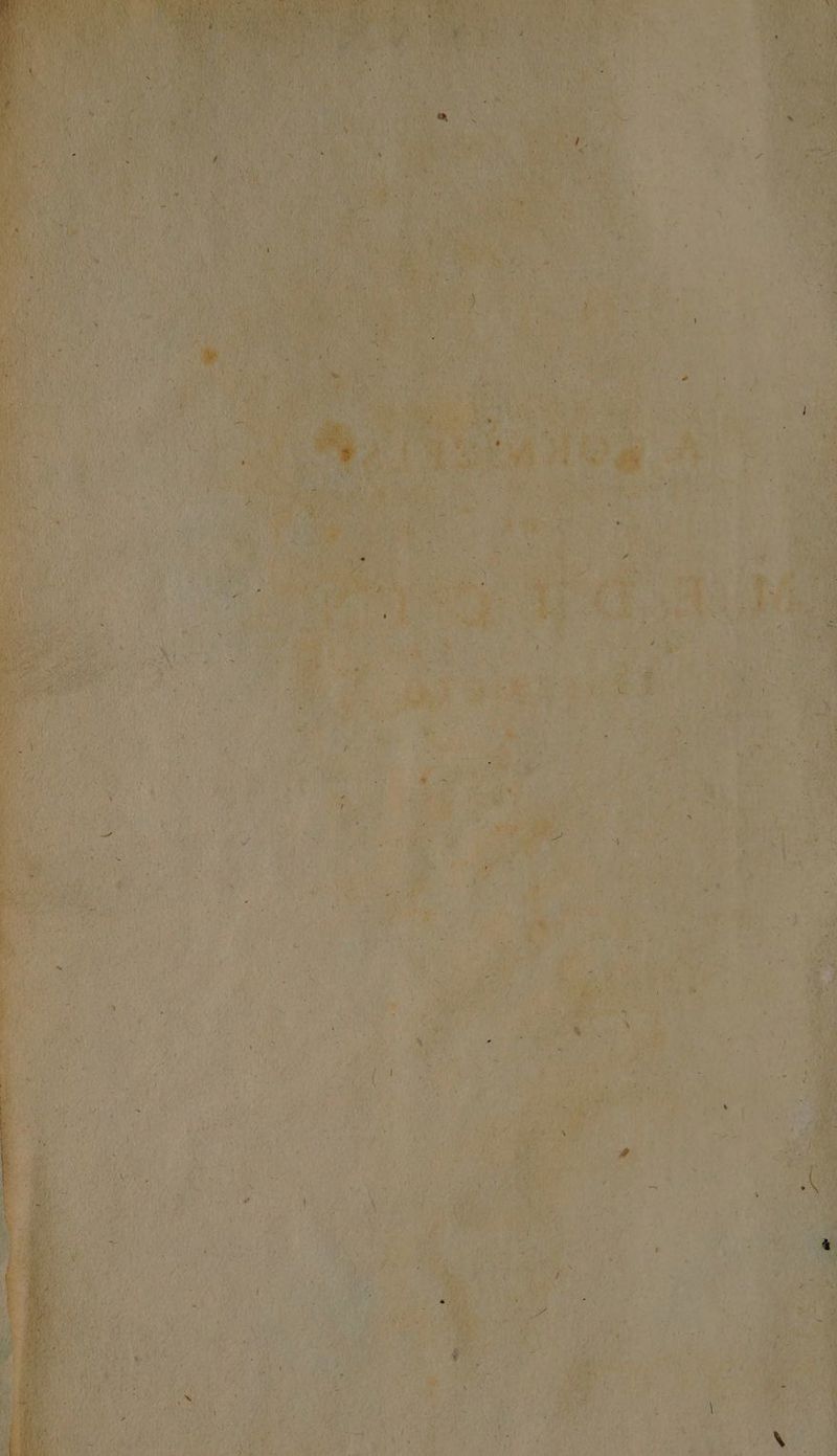 jn D À A3 AI AQUA d