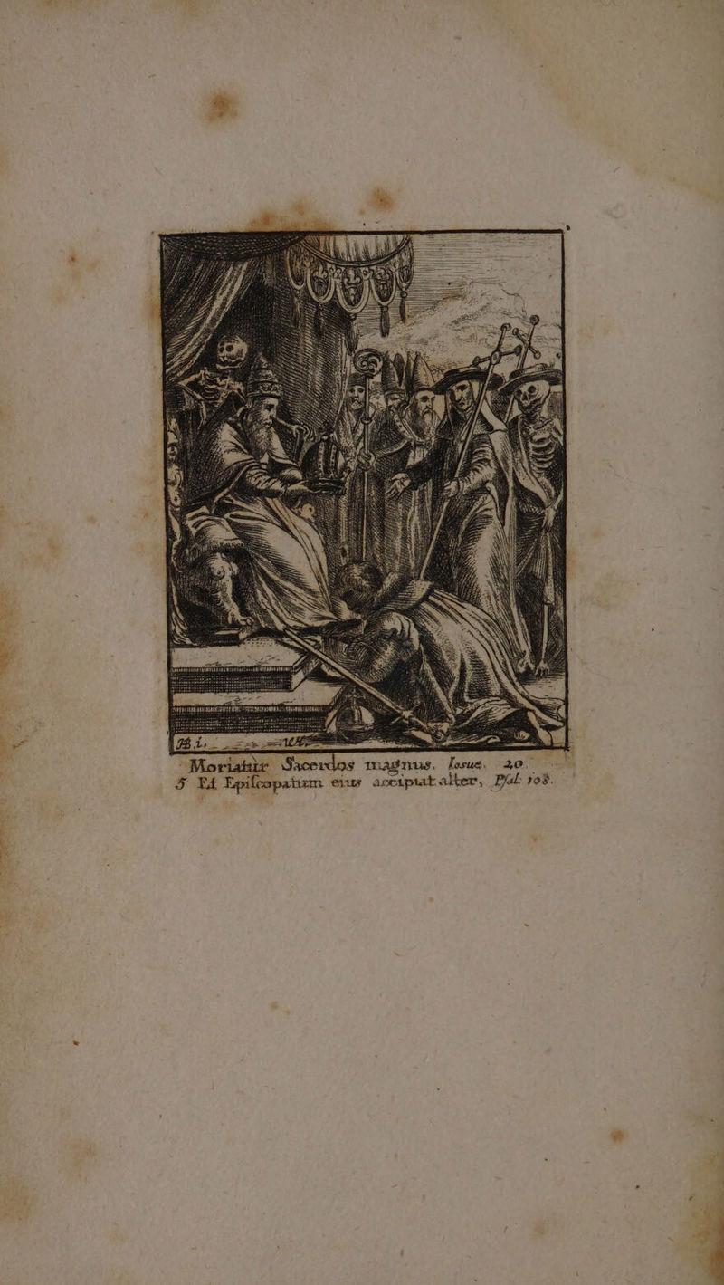 boy Oe Moriatir Saoeilos magnus, Tosue, 20. 5 Et Epilcopatum eius acciprat alter, Pal: 108.