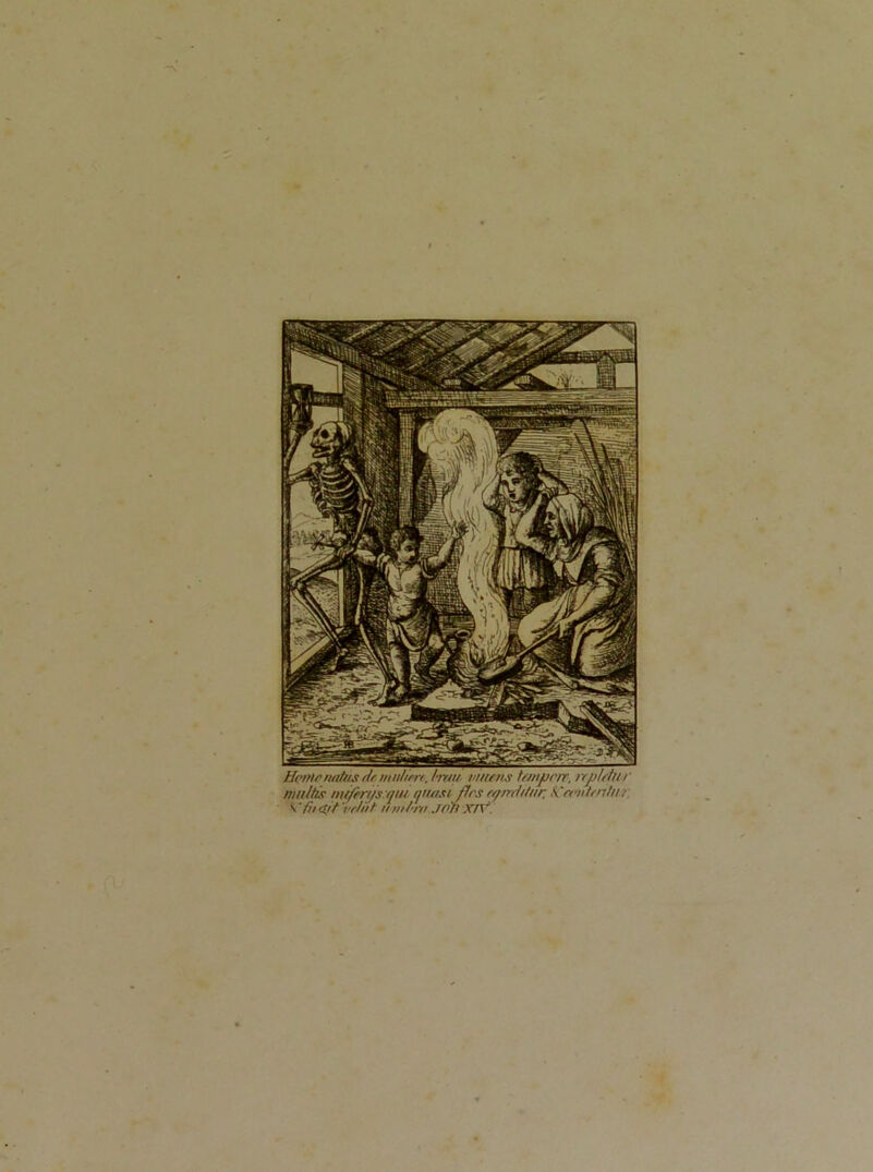 Ht'iHr nahis dr atuhrrr. l-mti, niusns tnupnr. irplttui nmltis mi/iri/s:qiu quasi ftrs rqmhhir. fCniu/nhl/ \ fit <trf vr/nt iimfim JCtl XfV