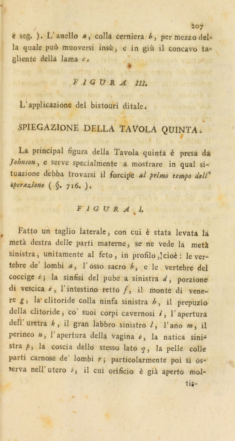 <i seg. ). L’anello colla cerniera per luezzo del- la quäle pu6 muoversi insu, e in giü il concavo ta- gliente della lama c, ♦ FIGURA IIL L’applicazione del bistouri ditale» 5PIEGAZI0NE DELLA TAVOLA QUINTA» La Principal figura della Tavola quinta h presa da Johnson, e serve specialmente a mostrare in quäl si- tuazione debba trovarsi il forcip'e ai primö tempo dtW iperaxione ( §. 716. )* F J G U R A I, ' % Fatto un taglio laterale, con cui h stata levata la metä destra delle parti materne, se ne vede la metä sinistra, unitamente al feto, in profilo,]cio6: le ver- tebre de’ lombi T osso sacro e le vertebre de! coccige c-j la sinfisi del pube,a sinistra 4, porzione di vescica ^, I intestino retto il monte di vene- fe gy la‘elitoride colla ninfa sinistra ä, il prepuzio della elitoride, co suoi corpi caverrtosi /, F apertura dell uretra k, il gran labbro sinistro /, l’ano w, il perineo », 1’apertura della vagina 0, la natica sini- stra la coscia dello stesso lato q, la pelle colle parti carnose de lombi r; particolarmente poi si ös*‘ serva nell utero il cui orificio k giii aperto mol-