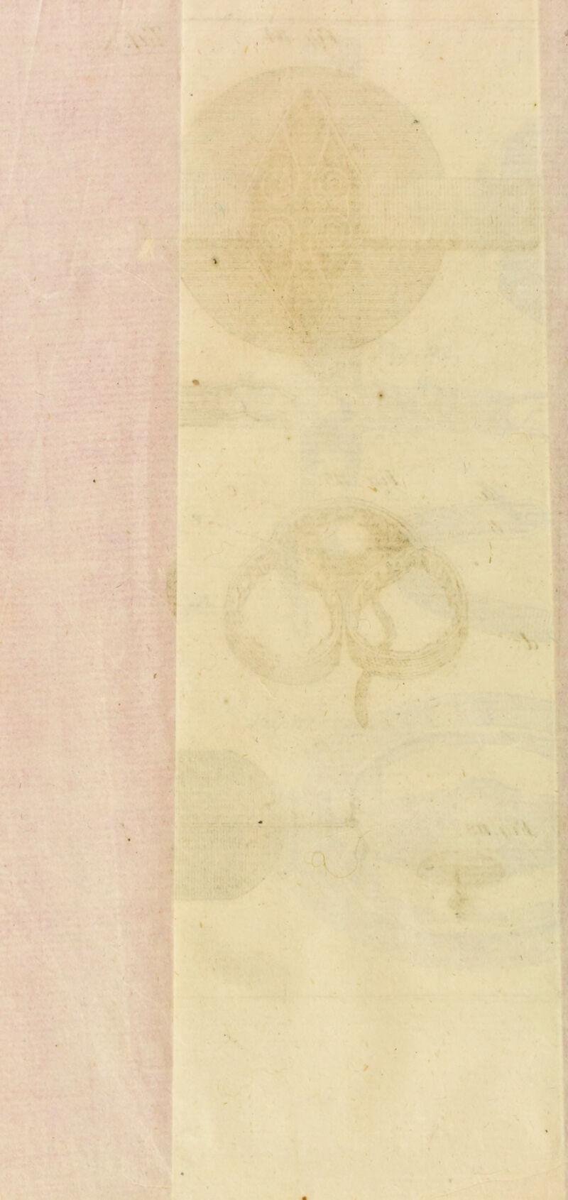 i • r 4» . -• • . . >» , , ,-vV - •'* * . 7 \ . I \ ! . ■ ■ a,