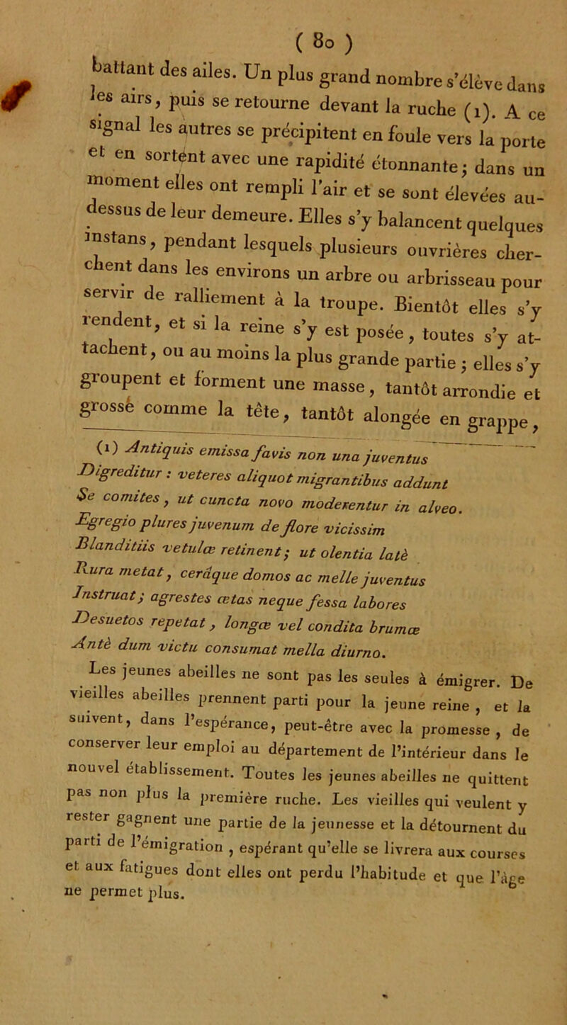 (8°) battant des ailes. Un plus grand nombre s'élève dans les airs, puis se retourne devant la ruche (i). 4. ce S'gnal les autres se précipitent en foule vers la porte et en sortent avec une rapidité étonnante; dans un moment elles ont rempli l'air et se sont élevées au- dessus de leur demeure. Elles s’y balancent quelques rnstans, pendant lesquels plusieurs ouvrières cher- c lent dans les environs un arbre ou arbrisseau pour seivir e ralliement à la troupe. Bientôt elles s’y rendent, et si la reine s’y est posée, toutes s’y at- tachent, ou au moins la plus grande partie ; elles s’y groupent et forment une masse, tantôt arrondie et grosse comme la tète, tantôt alongée en grappe, (i) Antiquis e miss a/avis non una juventus Digreditur: veteres aliquot migrantibus addunt Se comités, ut c une ta novo moderentur in alveo. Egregio plures juvenum de flore vicissim Blanditiis -vetulœ retinent; ut olentia lalè Rura metat, cerâque domos ac melle juventus Instruat; agrestes ce tas neque fessa labores Besuetos répétât, longœ vel condita brumœ Antè dum victu consumât mella diurno. . LeS jeun®s abeilles «e sont pas les seules à émigrer. De vieilles abeilles prennent parti pour la jeune reine , et la suivent, dans l’espérance, peut-être avec la promesse, de conserver leur emploi au département de l’intérieur dans le nouvel établissement. Toutes les jeunes abeilles ne quittent pas non plus la première ruche. Les vieilles qui veulent y lester gagnent une partie de la jeunesse et la détournent du parti de l’émigration , espérant qu’elle se livrera aux courses et aux fatigues dont elles ont perdu l’habitude et que l’âge ne permet plus.