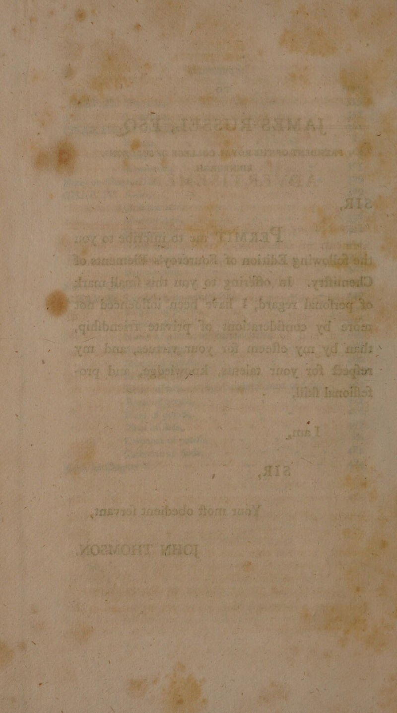 ae vf aK Lo meee siasidtie e1H0 ce, moa %