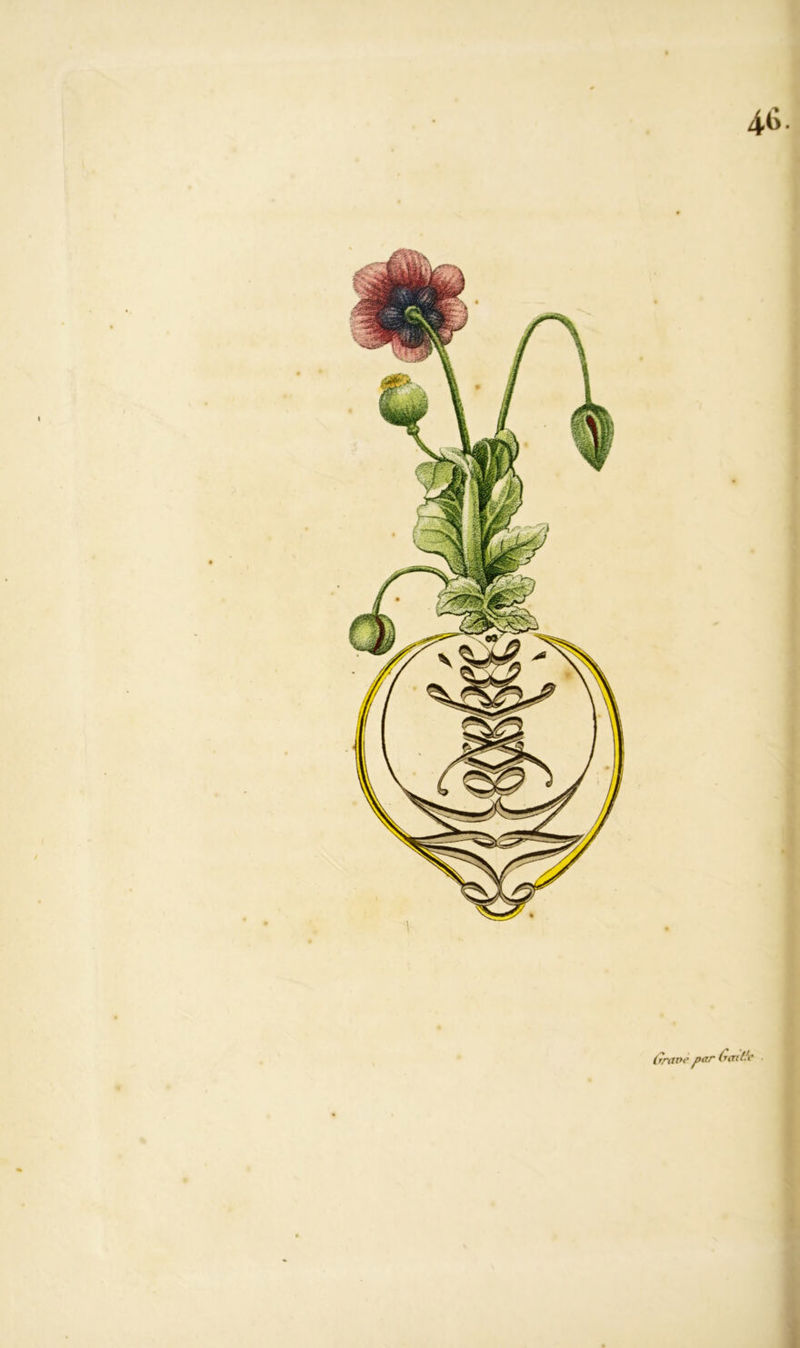 46. Grave par G<ri(‘e