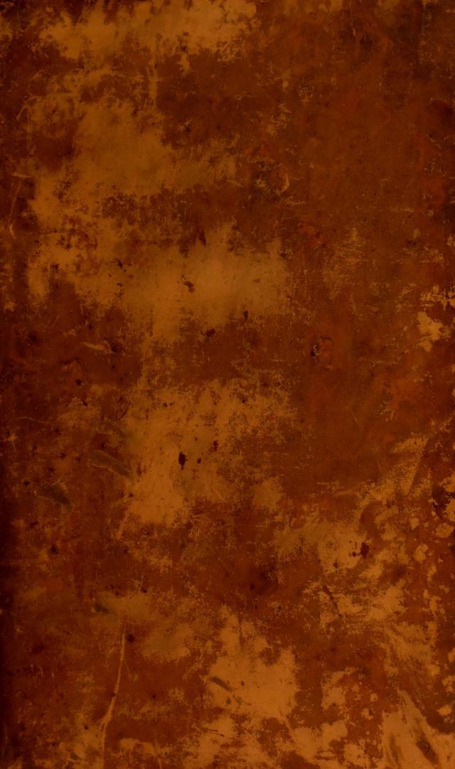 digitised image 1