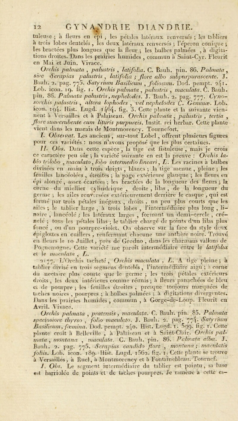 tuïeuse ; a fleurs en épi , les pétales latéraux renversés ; les tabliers h trois lobes dentelés , les deux latéraux renversés ; l’éperon conique ; les bractées plus longues que la fleur -, les bulbes palmées , a digita- tions droites. Dans les prairies humides , commun à Saint-Cyr. Fleurit en Mai et Juin. Vivace. Orchis palmata , palustris , latifolia. C. Bauh. pin. 86. Palmata , sive Serapias palustris , latifolia ; Jlore albo subpurpurascente. J. Bauh. 2. pag. 775. Satyrium Basilicum , foliosum. Dod. pempt. 241. Lob. icon. 19. fig. 1. Orchis palmata, palustris , maculata. C. Bauh. piu. 86. Palmata palustris, nephelodcs. J. Bauh. 2. pag- 777- Cyno- sorckis palustris , altéra lophodes , vel nephelodes C. Gemmas. Lob. icon. 194. Hist. Lugd. 14^4• fig» 6. Cette plante et la suivante vien- nent à Versailles et k Palaiseau, Orchis palmata. palustris , tertia , flore suaverubente cum lituris purpureis. Instit. rei herbar. Cette plante vient dans les marais de Montmorency. Tournefort. T. Obse/oat. Les anciens , sur-tout Lobel , offrent plusieurs figures pour ces variétés : nous n’avons proposé que les plus certaines. II. Obs. Dans cette espèce, la tige est fis tule lise , mais je crois ce caractère peu sur •, la variété suivante en est la preuve : Orchis la- bia trilobo , maculalo, lobo intermedio lincari, L. Les racines a bulbes divisées en main k trois doigts , blancs ; la tige menue , pleine ; les feuilles lancéolées , étroites -, la page extérieure glauque ; les fleurs en épi alongé, assez écartées -, les bractées de la longueur des fleurs ; la corne du miellier cylindrique , droite , lilas , de la longueur du germe ; les ailes renversées extérieurement derrière le casque , qui est formé par trois pétales inégaux , droits , un peu plus courts que les ailes ; le tablier large , k trois lobes , l’intermédiaire plus long , li- nairc , lancéolé ; les latéraux larges , formant un demi-cercle , cré- nelé ; tons les pétales lilas ; le tablier chargé de points d’un lilas plus foncé , ou d’un pourpre-violet. O11 observe sur la face du style deux épiglottes en cuillers , renfermant chacune une anthère noire. Trouvé eu fleurs le 10 Juillet, près de Grodno , dans les charmaus vallons de Pogncmogne. Cette variété me paroît intermédiaire entre le latifolia. et le ma ci data , L, 2177. L’Orehis tacheté, Orchis maculata > L. A tige pleine; a tablier divisé en trois sègmcns dentelés , l’intermédiaire aigu1; à corne du nectaire plus courte que le germe ; les trois pétales extérieurs droits , les deux intérieurs comme réunis; k fleurs panachées de bleu et de pourpre ; les feuilles étroites , presque toujours marquées de taches noires , pourpres ; k bulbes palmées ; k digitations divergentes. Dans les prairies humides, commun , k Gorge-de-Loup. Eîeurit en Avril. Vivace. Orchis palmata , pratenSis, maculata. C. Bauh. pin. 85. Palmata speciosiore thyrso , folio maculalo. J. Bauh. 2. pag. 774- Satyrium Basilicum, fœmina. Dod. pempt. 240. Hist. Lugd. 1. 599. fig. 1. Cette plante croît k Bellevifle , k Palaiseau et k Saint-Clair. Orchis pal- mata , montana , maculata. C. Bauh. pin. 86. Palmata alba. J. Bauh. 2. pag. 775. Serapias ccnidido flore , montana ; maculalis Jb/iis. Lob. icon. 189. Hist. Lugd. 1562. fig. 1. Cette plante se trouve k Versailles, a Ruel, k Montmorency et k Fontainebleau. Tournef. /. Obs. Le segment intermédiaire du tablier est pointu, sa base est barriolée de points et de taches pourpres. Je ramène a cette es-