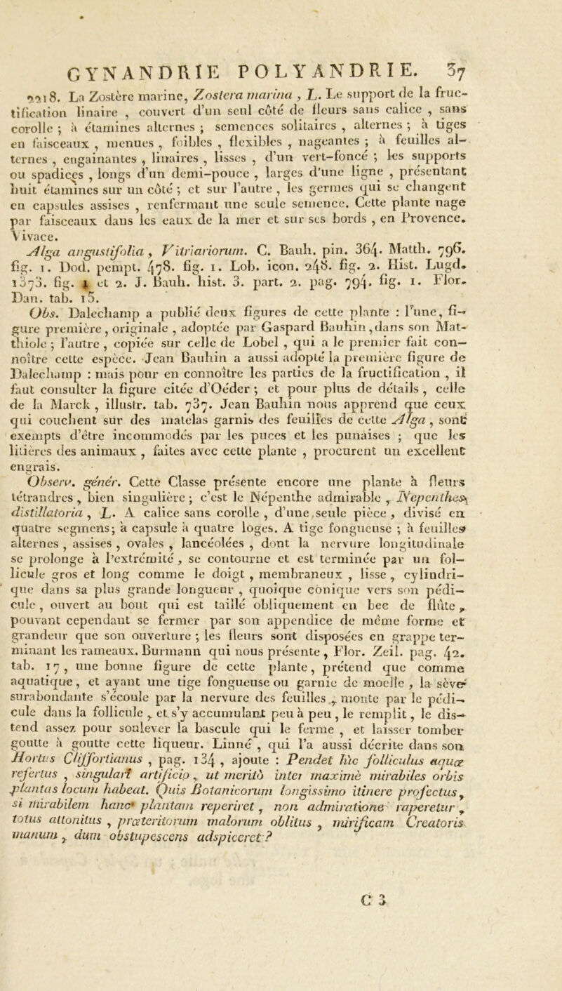 *><>., 8. La Zostèrc marine, Zostera marina , L. Le support de la fruc- tification linaire , couvert d’un seul côté de Heurs sans calice , sans corolle-, à étamines alternes; semences solitaires, alternes ; à tiges en faisceaux , menues , foiblcs , flexibles , nageantes \ a feuilles al- ternes , engainantes , linaires , lisses , d’un vert—fonce ; les supports ou spadiccs , longs d’un demi-pouce , larges d’une ligne , présentant huit étamines sur un côté ; et sur l’autre , les germes qui se changent en capsules assises , renfermant une seule semence. Cette plante nage par faisceaux dans les eaux de la mer et sur ses bords , en Brovcncc. Vivace. yllga angustifolici , Vilrlaviorum. C. Bauh. pin. 364* Mattli. 79G. fjg. i. Dod. pempt. 478. fig. x. Lob. icon. 24^ fig* 2. Hist. Lugd. x3n3. fig. et 2. J. Bauh. hist. 3. part. 2. pag. 794. fig* 1. Flor, Dan. tab. i5. (Jbs. Dalecliamp a publié deux figures de cette planre : Tune, fi- gure première, originale , adoptée par Gaspard Bauhin,dans son Mat- thiole ; l’autre , copiée sur celle de Lobel , qui a le premier fait con— noîtrê cette espèce. Jean Bauhin a aussi adopté la première figure de Dalecliamp : mais pour en connoîti-e les parties de la fructification , il faut consulter la figure citée d’Oéder ; et pour plus de détails, celle de la Marck , illustr. tab. 737. Jean Bauhin nous apprend que ceux qui couchent sur des matelas garnis des feuilles de celte sllga , sont: exempts d’étre incommodés par les puces et les punaises ; que les litières îles animaux , faites avec cette plante , procurent un excellent: engrais. O b sera, gêner. Cette Classe présente encore une plante h fleurs tétrandres, bien singulière ; c’est le Népenlhc admirable , IŸepcnthes\ dïstillatoria, L. A calice sans corolle , d’une,seule pièce, divisé en quatre segmens; ’a capsule a quatre loges. A tige fongueuse ; a feuilles» alternes , assises , ovales , lancéolées , dont la nervure longitudinale se prolonge à l’extrémité, se contourne et est terminée par un fol- licule gros et long comme le doigt , membraneux , lisse , cylindri- que dans sa plus grande longueur , quoique conique vers son pédi- cule , ouvert au bout qui est taillé obliquement en bec de flûte, pouvant cependant se fermer par son appendice de meme forme et grandeur que son ouverture ; les fleurs sont disposées en grappe ter- minant les rameaux. Burmann qui nous présente , Flor. Zeil. pag. 42. tab. 17, une bonne figure de cotte plante, prétend que comme aquatique, et ayant une tige fongueuse ou garnie de moelle, la sève*' surabondante s’écoule par la nervure des feuilles ,. monte par le pédi- cule dans la follicule r et s’y accumulant peu à peu , le remplit, le dis- tend assez pour soulever la bascule qui le ferme , et laisser tomber goutte à goutte cette liqueur. Linné , qui l’a aussi décrite dans son HorU.s Clijforiianus , pag. 134 , ajoute : Pendet lue folliculus aquat referlus , singularî artificip,. ut mérita inter maxime mirabiles orbis ji/antas locum habeat. Quis Botanicorum longissimo itinere profectus y si rtiirabilem liane* plantain reperiret, non admiratione raperelur , totus aitoniius , prateritorum malorum oblilus , mirifieam Creatoris maniait t dam obstupescens adspieerct ?