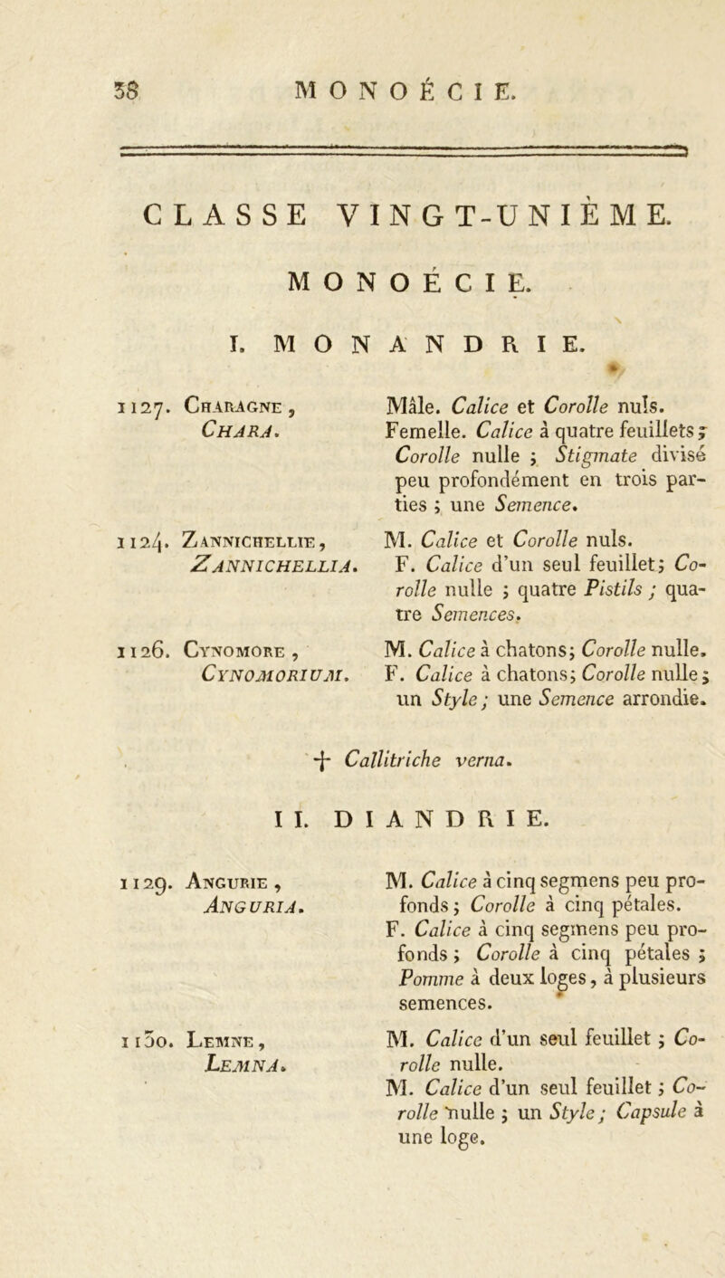 3S MONOÉCIE. CLASSE V I N G T-U N I È M E. MONOÉCIE. \ I. MONANDRIE. *> 1127. Charagne, Ch ARA. Mâle. Calice et Corolle nuis. Femelle. Calice à quatre feuillets ÿ Corolle nulle ; Stigmate divisé peu profondément en trois par- ties ; une Semence, 1124* Zannichellie , Zannichellia. M. Calice et Corolle nuis. F. Calice d’un seul feuillet ; Co- rolle nulle ; quatre Pistils ; qua- tre Semences. 1126. Cynomore , Cynomorium. M. Calice à chatons; Corolle nulle, F. Calice à chatons; Corolle nulle; un Style ; une Semence arrondie. -j- Callitriche verna. II. D I A N D R I E. 1129. Angurie , An G U RI A. M. Calice à cinqsegmens peu pro- fonds ; Corolle à cinq pétales. F. Calice à cinq segmens peu pro- fonds ; Corolle à cinq pétales ; Pomme à deux loges, à plusieurs semences. ii5o. Letwne, Lemna» M. Calice d’un seul feuillet ; Co- rolle nulle. M. Calice d’un seul feuillet ; Co- rolle “nulle ; un Style ; Capsule à une loge.