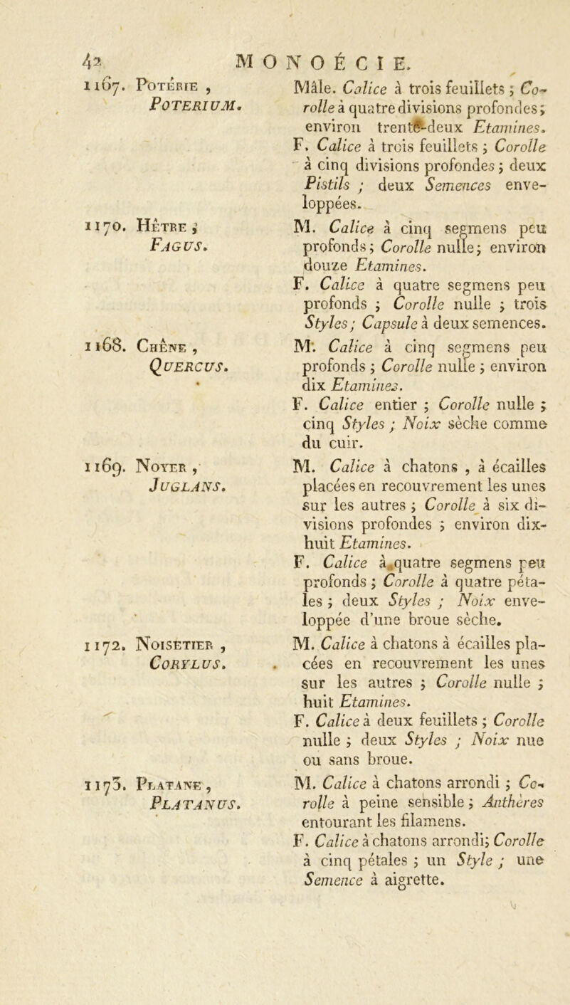 1170. 1168. M O N O É C I E. P OTE RI U M. Hêtre Fjg us. Chene , Quercus. rolle à quatre divisions profondes; environ trente-deux Etamines. F. Calice à trois feuillets ; Corolle à cinq divisions profondes ; deux Pistils ; deux Semences enve- loppées. M. Calice à cinq segmens peu profonds; Corolle nulle; environ douze Etamines. F. Calice à quatre segmens peu profonds ; Corolle nulle ; trois Styles; Capsules, deux semences. M'. Calice à cinq segmens peu profonds ; Corolle nulle ; environ dix Etamines. F. Calice entier ; Corolle nulle ; cinq Styles ; Noix sèche comme du cuir. 1169. Noyer, Juglans. 1172. Noisetier , CORYLUS. 1173. Platane, Plat an us. M. Calice à chatons , à écailles placées en recouvrement les unes sur les autres ; Corolle à six di- visions profondes ; environ dix- huit Etamines. F. Calice à,«quatre segmens peu profonds ; Corolle à quatre péta- les ; deux Styles ; Noix enve- loppée d’une broue sèche. M. Calice à chatons à écailles pla- cées en recouvrement les unes sur les autres ; Corolle nulle ; huit Etamines. F. Calices deux feuillets ; Corolle nulle ; deux Styles ; Noix nue ou sans broue. M. Calice à chatons arrondi ; Co- rolle à peine sehsible ; Anthères entourant les hlamens. F1. Calice à chatons arrondi; Corolle à cinq pétales ; un Style ; une Semence à aigrette.