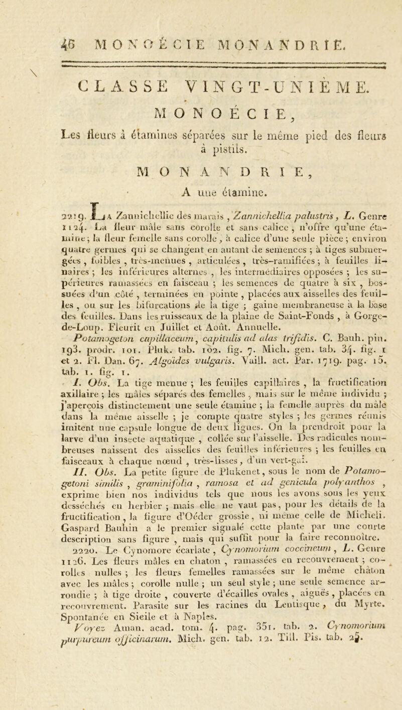 CLASSE V I N G T - U N I È M E. MONOÉCIE, Les fleurs à étamines séparées sur le même à pistils. M O N A N D R I E , A une étamine. 22ïg. La Zannichellic des marais , Zannichellia palustn's, L. Genre 1124. La fleur mâle sans corolle et sans calice, n’offre qu’une éta- mine; la fleur femelle sans corolle, û calice d’une seule pièce; environ quatre germes qui se changent en autant de semences ; à tiges submer- gées , loi blés , très-menues , articulées , très-ramifiées ; à feuilles li- naires ; les inférieures alternes , les intermédiaires opposées ; les su- périeures ramassées en faisceau ; les semences de quatre a six , bcs- suées d’un côté , terminées en pointe , placées aux aisselles des feuil- les , ou sur les bifurcations de la tige ; gaine membraneuse a la base des feuilles. Dans les ruisseaux de la plaine de Saint-Fonds , à Gorge- de-Loup. Fleurit en Juillet et Août. Annuelle. Püîamogelon capiüaceum, capilulis ad alas trifidis. C. Bauh. pin. ig3. prodr. toi. Pluk. tab. 102. fig. 7. Midi. geu. tab. 34- fîg. 1 et 2. Fl. Dan. 67. Algdidcs vulgaris. Vuiil. act. Far. 1719. pag. i5. tab. 1. fig. t . I. Obs. La tige menue ; les feuilles capillaires , la fructification axillaire ; les males séparés des femelles , mais sur le même individu ; j’aperçois distinctement une seule étamine ; la femelle auprès du male dans la même aisselle ; je compte quatre styles ; les germes réunis imitent une capsule longue de deux ligues. On la prendroit pour la larve d’un insecte aquatique , collée sur l’aisselle. Fies radicules nom- breuses naissent des aisselles des feuilles intérieures ; les feuilles en faisceaux â chaque nœud , très-lisses, d’un vert-gai. II. Obs. La petite figure de Flukenet, sous le nom de Polamo- getoni similis , graminifolia , ramosa et ad gcnicula polyanthos , exprime bien nos individus tels que nous les avons sous les yeux desséchés en herbier ; mais elle ne vaut pas, pour les détails de la fructification, la figure d’Oéder grossie, ni même celle de Miclteli. Gaspard Bauhin a le premier signalé cette plante par une courte description sans figui’c , mais qui suffit pour la faire reconuoitre. 2220. Le Cynomore écarlate , Cynomorium coccme.urn , h. Genre 11 afi. Les fleurs mâles en chaton , ramassées en recouvrement ; co~ rollts nulles ; les fleurs femelles ramassées sur le meme chaton avec les mâles ; corolle nulle ; un seul style ; une seule semence ar- rondie ; à tige droite , couverte d’écailles ovales , aiguës , placées en recouvrement. Farasite sur les racines du Leudsque, du Myrte. Spontanée en Sicile et à Naples. Payez Aman. acad. tom. 4* P3- 35 r. tr,E 2. Cynomorium pied des fleurs