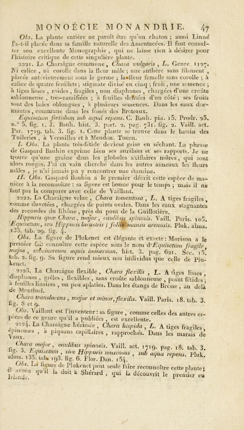 Ois. La plante entière ne paroît être qu’un chaton ; aussi Linné fa-t-il placée dans sa famille naturelle des Amentacées. Il faut consul- ter son excellente Monographie , qui ne laisse rien à désirer pour l’histoire critique de cette singulière plante. 22*21. La Charaigne commune. Chai a vulgaris , L. Genre 1127. XS i calice , ni corolle dans la fleur mâle ; une anthère sans filament , placée antérieurement sous le germe ; la «fleur femelle sans corolle ; à calice de quatre feuillets; stigmate divisé en cinq ; fruit, une semence ; à tiges lisses , roides , fragiles , non diaphanes , chargées d’une croûte sablonneuse , très-r ami fiées ; a feuilles deftlées d’un côté ; ses fruits sont des haies oblongues , plusieurs semences. Dans les eaux dor- mantes , commune dans les fossés des Broteaux. ■Equisetwn Jœtidum sub aquâ repens.C. Bauh. pin. 1 5. Prodr. 25. n.° 5. fig. 1. J. Bauh. liist. 3. part. 2. pag. 781. fig. 2. Vaill. act. Par. 1719. tab. 3. fig. 1. Cette plante se trouve dans le bassin des Tuileries , à Versailles et h Meucîon. Tourn. /. Obs. La plante très-fétide devient giise en séchant. La phrase de Gaspard Bauhin exprime bien ses attributs et ses rapports. Je ne trouve qu’une graine dans les globules axillaires mûres, qui sont alors rouges. J’ai en vain cherché dans les autres anneaux les fleurs mâles , je n’ai jamais pu y rencontrer une étamine. il. (Jbs. Gaspard Bauhin a le premier décrit cette espèce de ma- nière à la reconnoître : sa figure est bonne pour le temps ; nuis il ne faut pas la comparer avec celle de Vaillant. 2222. La Charaigne velue , Chara lomentosa , L. A tiges fragiles comme duvetées, chargées de points ovales. Dans les eaux stagnantes des recoudes du Rhône , près du pont de la Guillotière. Hippuris quœ Chara, major, caulibus spinosis. Vaill. Paris. io5. Equiselum, scu Hippuris lacuslris ; foliés inansu arenosis. Pluk. aima. i35. tab. 29. fig. 4. Obs. La figure de Plukenet est élégante et exacte : Morison a le premier fait connoUre cette espèce sous le nom d’Equisetlim fragile mujus , suhcincreum aquis immersum. liist. 3. pag. 62T. Sec. t ô! tab. 2. fig. 9. Sa figure rend mieux nos individus que celle de Pin kenet. 2223. La Charaigne flexible , Chara flexilis , L. A tiges lisses , diaphanes , grêles , flexibles , sans croûte sablonneuse , point fétides • a feuilles liuaires , un peu aplaties. Dans les étangs de Bresse , au delà de Montluel. % Chara translucens , major et minor, flexilis. Vaill. Paris. 18. tab. 3 8 et 9. Cas. \aillant est l’inventeur: sa figure , comme celles des autres es- peces de ce genre qu’il a publiées , est excellente. , La Charaigne hérissée , Chara hispida , L. A tiges fragiles épineuses , a piquans capillaires , rapprochés. Dans les marais dé V ftUX* Cham major, miJibusspinosis. Vaill. act. ,,,9. pag. l8. ,ab. 3. j,. a. Equiselum , sive H/ppuns muscosus sub aqua repens Pluk alnta. ,35. tal» ,33. fi.. 6. Fier. Dan. ,54. 1 P ‘ Jbs. La figure de l’lukcnet peut seule faire reconnoître celte plante* tlT la doit à Shérard , tt«i la découvrit le premièr e«