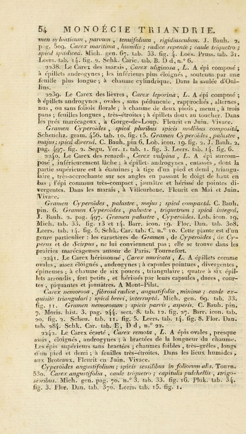 ynen sy loaticum , paivum , tenuifolium , rigidiusculum. J. Bauh. 7, p g. 509. Carex maritima , humilis ; i ndice repente ; caule triquetro ; s pied spadicea. Midi. gen. 67. tab. 33. fig. 4- Loè's. Pruss. tab. 3x. Leers. tab. 14. fig. 2. Schk. Carie, tab. B. 0 d,n.° 6. 2238. Le Carex des marais, Carex uliginosa , L. A épi composé; à épillets androgynes; les inférieurs plus éloignés, soutenus par une feuille plus longue ; à chaume cylindrique. Dans la saulée d’Oul- lins. ‘273g. Le Carex des lièvres , Carex leporina , L. A épi composé ; h épillets androgynes , ovales , sans péduncule , rapprochés , alternes, nus , ou sans foliole florale ; à chaume de deux pieds , menu , à trois pans ; feuilles longues , très-étroites ; â épillets doux au toucher. Dans les prés marécageux , a Gorge-de-Loup. Fleurit en Juin. Vivace. Gramen Cyperoides , spied pluribus spicis mollibus compositet, Seheuehz. gram. 4^6. tab. 10. fig. i5. Gramen Cyperoides, palustre , majus; spied diversd. C. Bauh. pin 6. Lob. icon. 19.bg. 2. J. Bauh. 2. pag. 497* bg. 2. Sega. Ver. 1. tab. 1. bg. 3. Leers. tab. 14. bg. G. 2240. Le Carex des renards , Carex vulpina , L. A épi surcom- posé , inférieurement lâche ; à épillets androgyncs , entassés , dont la partie supérieure est à étamines ; à tige d’un pied et demi , triangu- laire , très-accrochante sur ses angles en passant le doigt de haut en •bas ; l’épi commun très-compact , jaunâtre et hérissé de pointes di- vergentes. Dans les marais , à Villeurbanc. Fleurit en Mai et Juin. iVivace. Gramen Cyperoides , palustre , majus ; spied compacta. C. Bauh. pin. 6. Gramen Cyperoides , palustre , triquetrum ; spied integra. •T, Bauh. 2. pag. 497- Gramen palustre , Cyperoides. Lob. icon. 19. Midi. tab. 33. bg. i3 et 14. Barr. icon. 19. Flor. Dan. tab. 3o8. Leers. tab. 14- bg- G. Schk. Car. tab. C. n.° 10. Cette plante est d’un genre particulier : les caractères de Gramen , de Cyperoides , de Cy- perus et de Scirpus, ne lui conviennent pas ; elle se trouve dans les prairies marécageuses autour de Paris. Tournefort. 2241. Le Carex hérissonne , Carex muricata , L. A épillets comme ovales, assez éloignés , androgynes ; à capsules pointues , divergentes , épineuses ; à chaume de six pouces , triangulaire -, quatre à six épil- lets arrondis , fort petits , et hérissés par leurs capsules , dures , cour- tes , piquantes et jaunâtres. A Mont-Pilat. Carex nemorosa , Jibrosd radice , angustifolia , minima ; caule ex- quisité triangnlari ; spied brevi, interruptâ. Mich. gen. 69. tab. 33. fig. it. Gramen nemorosum ; spicis parois , asperis. C. Bauh. pin. 7. Moris. hist. 3. pag. ^44- sect* 8. tab. 12. bg. 27. Barr. icon. tab. 20. bg. 2. Sclieu. tab. 11. bg. 5. Leers. tab. 14. bg. b. Flor. Dan. tab. 284* Schk. Car. tab. E, D d, n.° 22. 2242. Le Carex écarté , Carex remota , L. A épis ovales , presque assis , éloignés, androgynes ; à bractées de la longueur du chaume. Les épis supérieurs sans bractées ; chaumes foibles , très-grèles , longs d’un pied et demi ; â feuilles très-étroites. Dans les lieux humides , aux Broteaux. Fleurit en Juin. Vivace. Cyperoides angustifolium ; spicis sessilibus in foliorum alis. Tourn. 53o. Carex angustifolia , caule triquetro ; capitulis pulche/lis , strign~ snribus. Mich. gen. pag. 70. n.° 3. tab. 33. bg. 1G. Pluk. tab. fig. 3. Flor. Dan. tab. 370. Leers. tab. ï5. fig. 1.