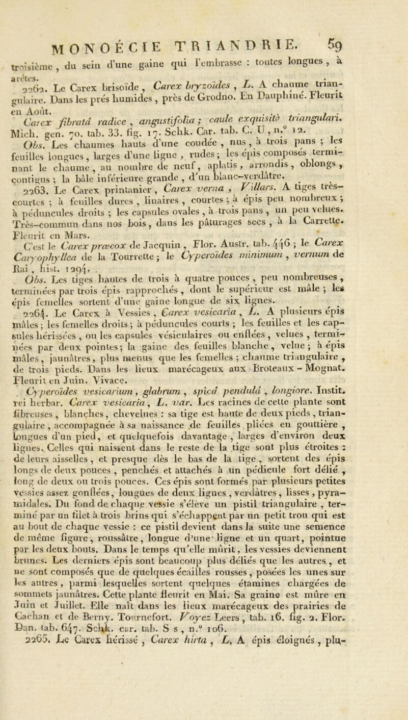trnisiimc , du scia d’une gaine qui l’embrasse : toutes longues, à aretes. 2062. Le Carex brisoïde , Carex biyzoïdes , L. A chaume trian- gulaire. Dans les prés humides , près de Grodno. En Dauphine. Fleurit en Août. feuilles longues, larges d’une ligne , rudes ; les épis composes termi- nant le chaume , au nombre de neuf, aplatis , arrondis , oblongs , contigus ; la baie inférieure grande , d'un blanc-verdâtre. 2263. Le Carex printanier, Carex verna , Villars. A tiges très— courtes ; à feuilles dures , iinaires , courtes ; k épis peu nombreux ; à péduncules droits ; les capsules ovales , à trois pans , un peu velues. Très-commun dans nos bois, dans les pâturages secs , a la Carrette. Fleurit en Mars. * C’est le Carex prcecox de Jacquin , Flor. Austr. tab. 4-|t> > le Carex Caiyophyllea de la Tourrette ; le Cyp croules minimum , vernum de Rai, hist. 1294. Obs. Les tiges hautes de trois â quatre pouces , peu nombreuses , terminées par trois épis rapproches , dont le supérieur est male ; les épis femelles sortent d’une gaine longue de six lignes. 2264. Le Carex .à Vessies , Carex vesicaria , L. A plusieurs épis mâles ; les femelles droits ; à péduncules courts ; les feuilles et les cap- sules hérissées , ou les capsules vésiculaires ou enflées , velues , termi- nées par deux pointes; la gaine des feuilles blanche, velue; â épis mâles , jaunâtres , plus menus que les femelles ; chaume triangulaire , de trois pieds. Dans les lieux marécageux aux Broteaux - Mognat. Fleurit en Juin. Vivace. Cypero'ides vesicarium, glabrum , spïcâ pencluîd , longiore. Instit. rei hcrfcar. Carex vesicaria, L. var. Les racines de celle plante sont fibreuses , blanches, chevelues : sa tige est haute de deux pieds , trian- gulaire , accompagnée à sa naissance de feuilles pliées en gouttière , longues d’un pied, et quelquefois davantage , larges d’environ deux lignes., Celles qui naissent dans le reste de la tige sont plus étroites : de leurs aisselles, et presque dès le bas de la tige , sortent des épis longs de deux pouces , penchés et attachés h un pédicule fort délié , long de deux ou trois pouces. Ces épis sont formés par plusieurs petites vessies assez gonflées, longues de deux lignes , verdâtres , lisses , pyra- midales. Du fond de chaque vessie s’élève un pistil triangulaire , ter- miné par un filet à trois brins qui s’échappent par un petit trou qui est au bout de chaque vessie : ce pistil devient dans la suite une semence de même figure, roussâtre, longue d’une’ligne et un quart, pointue par les deux bouts. Dans le temps qu'elle mûrit, les vessies deviennent brunes. Les derniers épis sont beaucoup plus déliés que les autres , et ne sont composés que de quelques écailles rousses, posées les unes sur les autres , parmi lesquelles sortent quelques étamines chargées de sommets jaunâtres. Cette plante fleurit en Mai. Sa graine est mûre en Juin et Juillet. Elle naît dans les lieux marécageux des prairies de Cachan et de Berny. Tournefort. Voyez Leers , tab. 16. lig. 2. Flor. Dan. tab. 647. Schk. car. tab. S s , n.° 106. 22GJ. Le Carex hérissé , Carex flirta , L, À épis éloignés, plu-