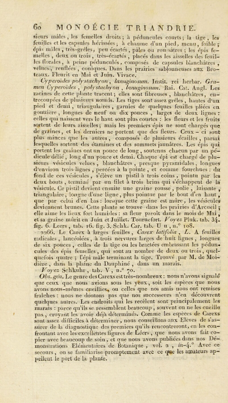 sieurs mâles, les femelles droits; à péduncules courts; la tige, les feuilles et les capsules hérissées; à chaume d’un pied, menu, foible ; épis mâles , très-grêles, peu écartés, pâles ou rou-sâtres ; les épis fe- melles , deux ou trois , très-écartés , placés dans les aisselles des feuil- les florales , à peine pédunculés, composés de capsules blanchâtres , velues, renflées , coniques. Dans les prairies sablonneuses aux Bro— teaux. Fleurit en Mai et Juin. Vivace. Cyperdides polystachyon, lanuginoswn. Instit. rei herbar. Qm- men Cyperdides , polystachyon , lanuginoswn. Rai. Gat. Angl. Les racines de cette plante tracent; elles sont fibreuses , blanchâtres, en- trecoupées de plusieurs nœuds. Les tiges sont assez grêles , hautes d’un pied et demi , triangulaires , garnies de quelques feuilles pliées en gouttière , longues de neuf ou dix pouces , larges de deux lignes : celles qui naissent vers le haut sont plus courtes : les fleurs et les fruits sortent de leurs aisselles; mais les premiers épis ne sont chargés que de graines, et les derniers ne portent que des fleurs. Ceux - ci sont plus minces que les autres , composés de plusieurs écailles , parmi lesquelles sortent des étamines et des sommets jaunâtres. Les épis qui portent les graines ont un pouce de long , soutenus chacun par un pé- dicule délié, long d’un pouce et demi. Chaque épi est chargé de plu- sieurs vésicules velues, blanchâtres, presque pyramidales, longues d’environ trois lignes , percées à la pointe , et comme fourchues : du fond de ces vésicules, s’élève un pistil â trois coins , pointu par les deux bouts , terminé par un filet à trois brins qui s’échappent de la vésicule. Ce pistil devient ensuite une graine rousse , polie , luisante , triangulaire, langue d’une ligne, plus pointue par le bout d’en haut, que par celui d’en bas : lorsque cette graine est mûre, les vésicules deviennent brunes. Cette plante se trouve dans les prairies d^Arcueil ; elle aime les lieux fort humides : sa fleur pavoît dans le mois de Mai , et sa graine mûrit en Juin et Juillet. Tournefort. Voyez Pluk. tab. 34» fig. 6. Lecrs , tab. 16. fïg. 3. Schlc. Car. tab. U u , n.° 108. 9.366. Le Carex à larges feuilles , Carex lalifolia , L. A feuilles radicales , lancéolées , à trois nervures larges de huit lignes , longues de six pouces , celles de la tige ou les bractées embrassant les pédun* cules des épis femelles , qui sont au nombre de deux ou trois, quel- quefois quatre ; l’épi mâle terminant la tige. Trouvé par M. de Moi- dière , dans la plaine du Dauphiné , dans un marais. Voyez Sclikuhr , tab. V, n.° 70. Ohs. ge'11. Le genre des Carexs est très-nombreux : nous n’avons signalé que ceux que nous avions sous les yeux, soit les espèces que nous avons nous-mêmes cueillies, ou celles que nos amis nous ont remises fraîches : nous ne doutons pas que nos successeurs n’en découvrent quelques autres. Les endroits qui les recèlent sont principalement les marais : parce qu’ils se ressemblent beaucoup , souvent on ne les cueille pas , croyant les avoir déjà déterminés. Comme les espèces de Carexs sont assez difficiles à déterminer, nous conseillons aux Elèves de s’as- surer de la diagnostique des premiers qu’ils rencontreront, en les con- frontant avec les excellentes figures de Lécrs , que nous avons fait co- pier avec beaucoup de soin, et que nous avons publiées dans nos Dé- monstrations Elémentaires de Botanique , vol. 3 , in—4»° Avec ce secours, on se familiarise promptement aveû ce que les amateurs ap- pellent le port de la plante.