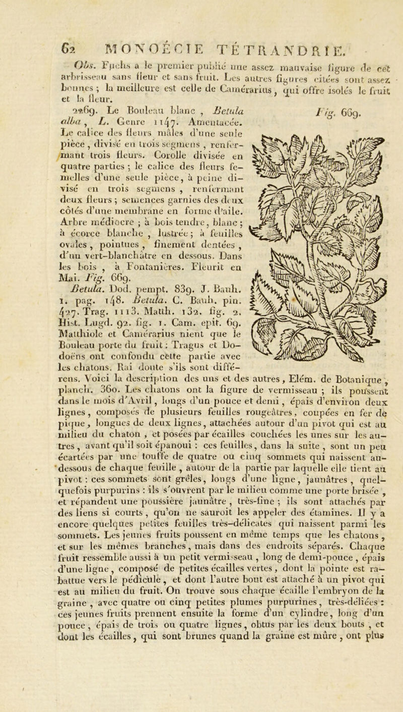 ()ys. Iqichs a !c premier publié une assez mauvaise figure de cet arbrisseau sans fleur et sans fruit. Les autres figures citées sont assez bennes ; la meilleure est celle de Camérarius , qui offre isolés le fruit et la fleur. ^ alla, L. Genre 1147• Amentacée. Le calice des fleurs mâles d’une seule pièce, divisé en trois segme ns , renfer- mant trois fleurs. Corolle divisée en quatre parties -, le calice des fleurs fe- melles d’une seule pièce, à peine di- visé en trois segmens , renfermant deux fleurs ; semences garnies des d< ux côtés d’une membrane en forme d’aile. Arbre médiocre ; à Lois tendre, blanc; à écorce blanche , lustrée; à feuilles ovales , pointues , finement dentées , d'uu vert-blanchâtre en dessous. Dans les bois , à Fontanières. Fleurit en Mai. Big. 6O9. Betula. Dod. pempt. 83g. J. Bauh. 1. pag. t /|8. Betula. C. Bauh. pin. 4^7. Trag. 1 ii3. Matth. i32. fig. 2. flist. liUgd. 92. fig. 1. Cam. epit. 69. Maithiole et Camérarius nient que le Bouleau porte du fruit : Tragus et Do- doèns ont confondu cette partie avec les chatons. Rai doute s’ils sont diffé- rais. Voici la description des uns et des autres, Elém. de Botanique , plancli. 36o. Les chatons ont la figure de vermisseau ; ils poussent dans le mois d'Avril, longs d’un pouce et demi, épais d’environ deux lignes , composés de plusieurs feuilles rougeâtres, coupées en fer de pique, longues de deux lignes, attachées autour d’un pivot qui est au milieu du chaton , et posées par écailles couchées les unes sur les au- tres , avant qu’il soit épanoui : ces feuilles, dans la suite , sont un peu écartées par une touffe de quatre ou cinq sommets qui naissent au- dessous de chaque feuille , autour de la partie par laquelle elle tient au pivot : ces sommets sont grêles, longs d’une ligne, jaunâtres, quel- quefois purpurins : ils s'ouvrent par le milieu comme une porte brisée , et répandent une poussière jaunâtre , très-fine ; ils sont attachés par des liens si courts , qu’on 11e sauroit les appeler des étamines. 11 y a encore quelques petites feuilles très-délicates qui naissent parmi les sommets. Les jeunes fruits poussent en même temps que les chatons , et sur les mêmes branches, mais dans des endroits séparés. Chaque fruit ressemble aussi à un petit vermisseau , long de demi-pouce , épais d’une ligne, composé de petites écailles vertes, dont la pointe est ra- battue vers le pédicule, et dont l’autre bout est attaché à un pivot qui est au milieu du fruit. On trouve sous chaque écaille l’embryon de la graine , avec quatre ou cinq petites plumes purpurines, très-déliées : ces jeunes fruits prennent ensuite la forme d’un cylindre, long d’un pouce , épais de trois ou quatre lignes, obtus par les deux bouts , et dont les écailles, qui sont brimes quand la graine est mure , ont plus