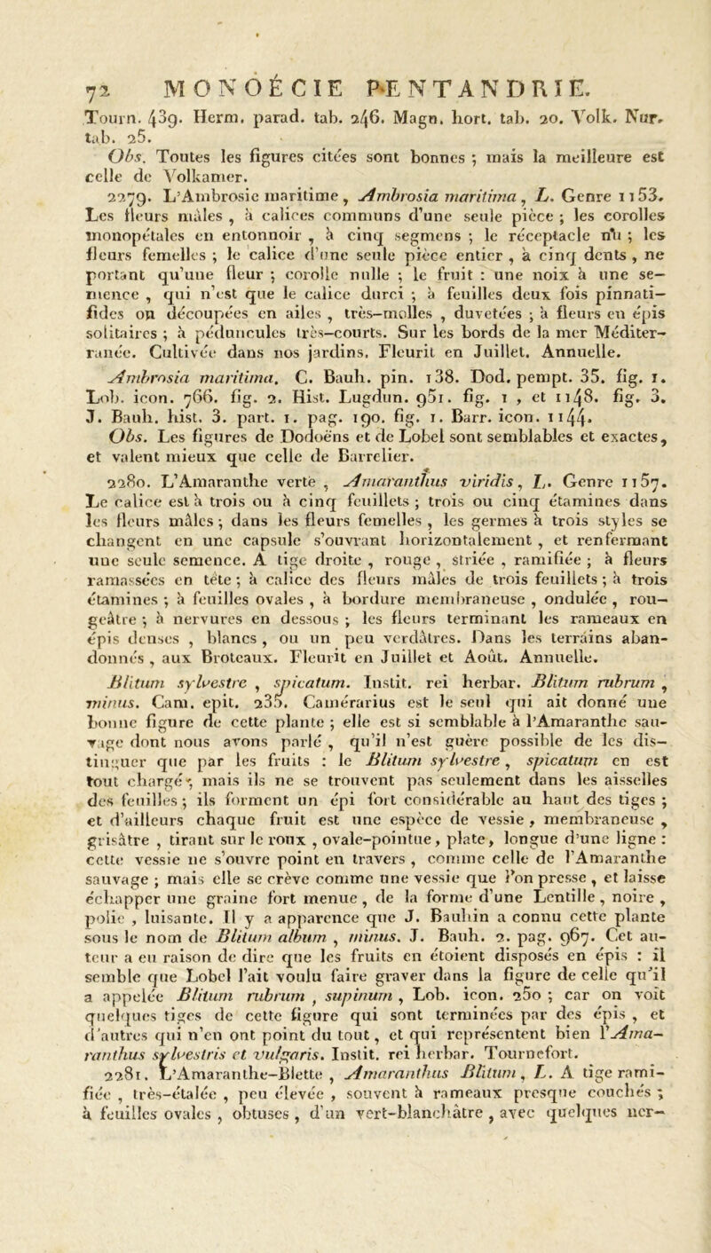 Tourn. 43g- Herm. parad. tab. 246. Magn. hort. tab. 20. Volk. Nor- tab. 25. Obs. Toutes les figures citées sont bonnes ; mais la meilleure est celle de Volkamer. 2279. L’Ambrosie maritime , Ambrosia moritima , L. Genre 11 53. Les Heurs males , à calices communs d’une seule pièce ; les corolles inonopétalcs en entonnoir , h cinq segmens -, le réceptacle rïb ; les fleurs femelles ; le calice d’une seule pièce entier , à cinq dents , ne portant qu’une fleur ; corolle nulle ; le fruit : une noix h une se- mence , qui n’est que le calice durci ; à feuilles deux fois pinnati— fides on découpées en ailes , très-molles , duvetées ; a fleurs en épis solitaires ; à péduncules très—courts. Sur les bords de la mer Méditer- ranée. Cultivée dans 110s jardins. Fleurit en Juillet. Annuelle. Ambrosia maritima. C. Bauh. pin. ï38. Dod. pempt. 35. fig. 1. Lob. icon. 766. fig. 2. Hist. Lugdun. g5i. fig. 1 , et 1148. fig. 3. J. Bauli. hist. 3. part. 1. pag. 190. fig. 1. Barr. icon. 1144* Obs. Les figures de Dodoèns et de Lobei sont semblables et exactes, et valent mieux que celle de Barrelier. 2280. L’Amarantbe verte , Amaranthus viridis, Z,. Genre nSy. Le calice esta trois ou h cinq feuillets; trois ou cinq étamines dans les fleurs males; dans les fleurs femelles, les germes k trois styles se changent en une capsule s’ouvrant horizontalement , et renfermant uuc seule semence. A tige droite , rouge , striée , ramifiée ; k fleurs ramassées en tète ; k calice des fleurs mâles de trois feuillets ; k trois étamines ; k feuilles ovales , k bordure membraneuse , ondulée , rou- geâtre ; k nervures en dessous ; les fleurs terminant les rameaux en épis denses , blancs , ou un peu verdâtres. Dans les terrains aban- donnés , aux Brotcaux. Fleurit en Juillet et Août. Annuelle. Blitum sylvestre , spicatum. Instit. rei herbar. Blitum mbrum , minus. Cam. epit. 235. Camérarius est le seul qui ait donné une bonne figure de cette plante ; elle est si semblable k l’Amaranthe sau- vage dont nous avons parlé , qu’il n’est guère possible de les dis- tinguer que par les fruits : le Blitum sylvestre, spicatum en est tout chargé-, mais ils ne se trouvent pas seulement dans les aisselles des feuilles; ils forment un épi fort considérable au haut des tiges; et d’ailleurs chaque fruit est une espèce de vessie , membraneuse , grisâtre , tirant sur le roux , ovale-pointue, plate, longue d’une ligne : cette vessie ne s’ouvre point en travers , comme celle de l’Amaranthe sauvage ; mais elle se crève comme une vessie que Bon presse , et laisse échapper une graine fort menue , de la forme d’une Lentille , noire , polie , luisante. Il y a apparence que J. Bauliin a connu cette plante sous le nom de Blitum album , minus. J. Bauh. 2. pag. 967. Cet au” leur a eu raison de dire que les fruits en étoient disposés en épis : il semble que Lobei l’ait voulu faire graver dans la figure de celle qiFil a appelée Blitum rubriim f supinum , Lob. icon. a5o ; car on voit quelques tiges de cette figure qui sont terminées par dos épis , et d’autres qui n’en ont point du tout, et qui représentent bien Y Ama- ranthus sylveslris et Vu!paris. Instit. rei herbar. Tournefort. 2281. L’Amaranthe-Blette , Amaranthus Blitum, L. A tige rami- fiée , très-étalée , peu élevée , souvent k rameaux presque couchés ; k feuilles ovales , obtuses , d'un vert-blanchâtre , avec quelques ncr—