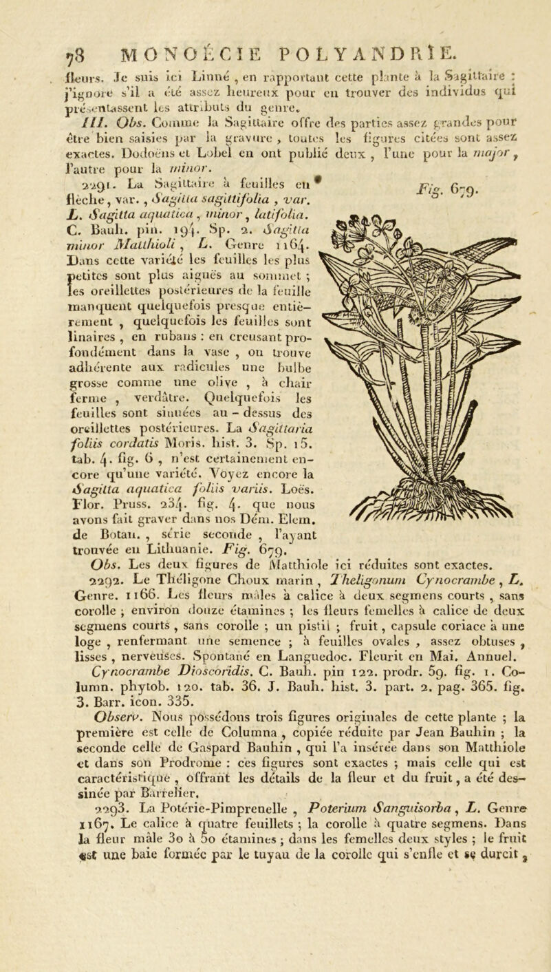 ï 78 MONOÉCIE polyandrie. fleurs. Te suis ici Linné , en rapportant cette plante à la Sagittaire : j’ignore s’il a été assez heureux pour en trouver des individus qui présentassent les attributs du genre. III. Qbs. Comme la Sagittaire offre «les parties assez grandes pour être bien saisies par la gravure , toutes les figures citées sont assez exactes. Dodoëns et Lobel en ont publié deux, l’une pour la major f l’autre pour la minor. 2-291. La Sagittaire à feuilles en* flèche, var. , Sagilta sagittifolia , var. L. Sagilta aquatica , minor, latifolia. C. Bauli. pin. 194. Sp. 2. Sagitta minor Mauhioli , L. Genre 1164. D ans cette variéié les feuilles les plus petites sont plus aiguës au sommet -, es oreillettes postérieures de la feuille manquent quelquefois presque entiè- rement , quelquefois les feuilles sont linaires , en rubans : en creusant pro- fondément dans la vase , on trouve adhérente aux radicules une bulbe grosse comme une olive , à chair ferme , verdâtre. Quelquefois les feuilles sont si nuées au - dessus des oreillettes postérieures. La Sagiltaria foliis cordatis Moris. hist. 3. 8p. i5. tab. 4- Gg. G , n’est certainement en- core qu’une variété. Voyez encore la Sagilta aquatica foliis variis. Loës. Flor. Pruss. 284. Gg. 4- fl110 nous avons fait graver dans nos Dém. Elein. de Botan. , strie seconde , l’ayant trouvée eu Lithuanie. Fig. 679. Obs. Les «leux figures de lVlatthiole ici réduites sont exactes. 2292. Le Théligone Choux marin, l'heligonum Cynocrambe , L. Genre. 1166. Les fleurs mâles à calice k deux segmens courts , sans corolle ; environ douze étamines ; les fleurs femelles k calice de deux segmens courts , sans corolle ; un pistil ; fruit, capsule coriace a une loge , renfermant une semence ; k feuilles ovales , assez obtuses , lisses , nerveuses. Spontané en Languedoc. Fleurit en Mai. Annuel. Cy nocrambe Dioscoridis. C. Bauh. pin 122. prodr. 5g. fig. 1. Co- lumn. phytob. 120. tab. 36. J. Bauh. hist. 3. part. 2. pag. 365. fig. 3. Barr. icon. 335. Obsero. Nous possédons trois figures originales de cette plante ; la première est celle de Columna , copiée réduite par Jean Bauhin ; la seconde celle de Gaspard Bauhin , qui l’a insérée dans son Matthiole et dans son Prodrome : ces figures sont exactes ; mais celle qui est caractéristique , offrant les détails de la fleur et du fruit, a été des- sinée par Barrelier. 2293. La Potérie-Pimprenelle , Poterium Sanguisorba, L. Genre 1167. Le calice k quatre feuillets •, la corolle k quatre segmens. Dans la fleur mâle 3o k 5o étamines ; dans les femelles deux styles ; le fruit «st une baie formée par le tuyau de la corolle qui s’enfle et se durcit t