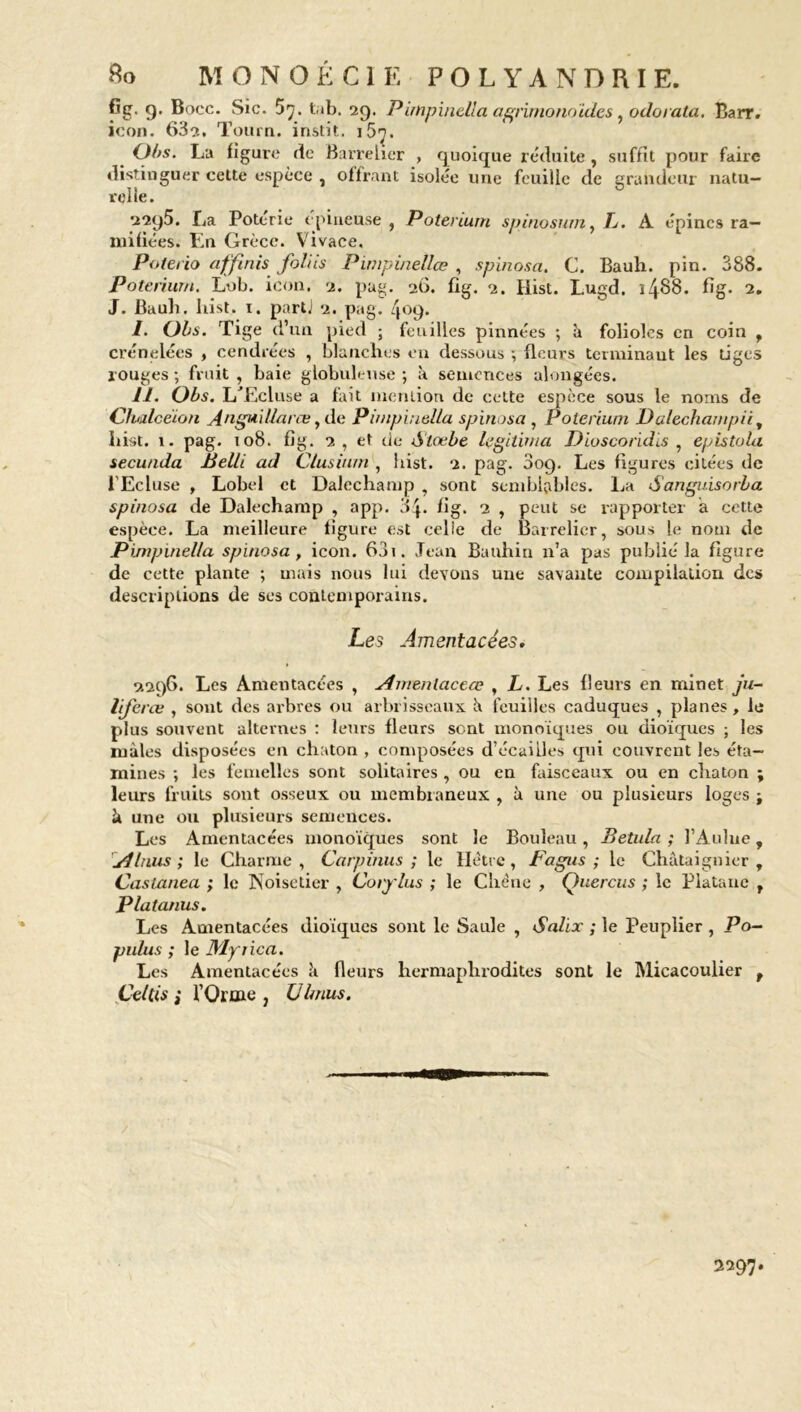fîg. g. Bocc. Sic. 57. tab. 29. PimpineUa agrimonoïdes, odorata. Barr. icon. 63?., Tourn. instit. 15t. Obs. La figure de Barreher , quoique réduite , suffit pour faire distinguer cette espèce , offrant isolée une feuille de grandeur natu- relle. 22g5. La Potérie ( piueuse , Poteriurn spinosum, L. A épines ra- mifiées. Ln Grèce. Vivace, Poterio affmis foliis Pimpinellœ , spinosa. C. Bauh. pin. 388. Poteriurn. Lob. icon. 2. pug. 20. fîg. 2. Hist. Lugd. ï4^8. fîg. 2. J. Baub. hist. 1. parti 2. pag. 409. I. Obs. Tige d’un pied ; feuilles pinnées ; à folioles en coin , crénelées , cendrées , blanches en dessous -, fleurs terminant les tiges rouges ; fruit , haie globuleuse ; à semences alongées. II. Obs. L'Ecluse a fait mention de cette espèce sous le noms de Clwlcëion Anguillarce , de PimpineUa spinosa , Poterium Dalechampii, hist. 1. pag. 108. fîg. 2, et de Stœbe légitima Dioscoridis , epistula secunda Belli ad Clusinm , hist. 2. pag. 009. Les figures citées de l'Ecluse , Lobel et Dalechamp , sont semblables. La Sanguisorba spinosa de Dalechamp , app. 84. fi g. 2 , peut se rapporter à cette espèce. La meilleure figure est celle de Barrelier, sous le nom de PimpineUa spinosa, icon. 63i. Jean Bauhin n’a pas publié la figure de cette plante ; mais nous lui devons une savante compilation des descriptions de ses contemporains. Les Amentacées. 2296. Les Amentacées , Amenlaccœ , h. Les fleurs en minet ju- liferce , sont des arbres ou arbrisseaux k feuilles caduques , planes, le plus souvent alternes : leurs fleurs sont monoïques ou dioïques ; les mâles disposées en chaton , composées d’écailles qui couvrent les éta- mines -, les femelles sont solitaires , ou en faisceaux ou en chaton ; leurs fruits sont osseux ou membraneux , à une ou plusieurs loges ; à une ou plusieurs semences. Les Amentacées monoïques sont le Bouleau , Betula ; l’Aulue, Al nus ; le Charme, Carpinus ; le Hêtre, Fagns ; le Châtaignier, Castanea ; le Noisetier , Corj'lus ; le Chêne , Quercus ; le Platane , Platanus. Les Amentacées dioïques sont le Saule , Salix ; le Peuplier , JPo- pulus ; le JSlyiica. Les Amentacées k fleurs hermaphrodites sont le Micacoulier t ÇeUis i l’Orme } U b nus. 2297.