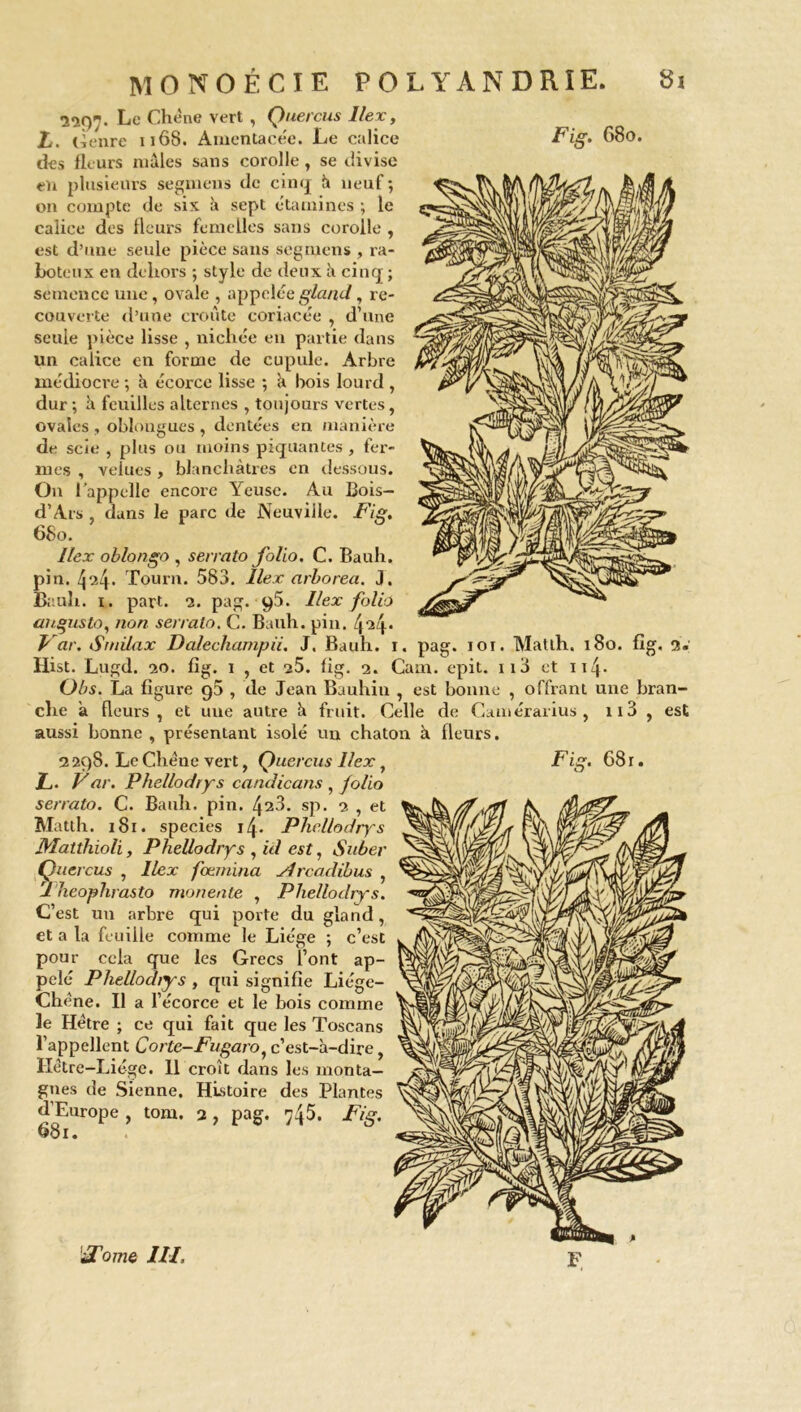 îîfti. Le Chêne vert , Quercus l/ex, L. Genre 1168. Amentace'e. Le calice Fig. 680. des fleurs mâles sans corolle , se divise en plusieurs segmens de cinq h neuf; on compte de six à sept étamines ; le calice des fleurs femelles sans corolle , est d’une seule pièce sans segnjens , ra- boteux en dehors ; style de deux à cinq ; semence une, ovale , appelée gland, re- couverte d’une croûte coriacée , d’une seule pièce lisse , nichée en partie dans un calice en forme de cupule. Arbre médiocre ; à écorce lisse ; a bois lourd , dur ; feuilles alternes , toujours vertes, ovales , oblongues , dentées en manière de scie , plus ou moins piquantes , fer- mes , velues, blanchâtres en dessous. On l’appelle encore Yeuse. Au Bois- d’Ars , dans le parc de Neuville. Fig, 680. llex oblongo , serrato folio, C. Bauh. pin. ^24. Tourn. 583. llex arborea. J. Bauh. i. part. 2. pag. 95. llex foliû augusto, non serralo. C. Bauh. pin. Var. Smilax Dalechampii. J. Bauh. r. pag. 101. Matlh. 180. fig, 3. Hist. Lugd. 20. fig. 1 , et 25. fig. 2. Cam. epit. 113 et 114- Obs. La figure 95 , de Jean Bauhin , est bonne , offrant une bran- che â fleurs, et une autre à fruit. Celle de Camérarius , 113 , est aussi bonne , présentant isolé un chaton à fleurs. 2298. Le Chêne vert, Quercus llex, L- Far. Phellodrys candicans , folio serralo. C. Bauh. pin. 428. sp. 2 , et Matlh. 181. species 14. Phellodrys Matthioli, Phellodrys , id est, Suber Quercus , llex fœniina ylrcadibus , 2 heophrasto monente , Phellodrys. C’est uu arbre qui porte du gland, et a la feuille comme le Liège ; c’est pour cela que les Grecs l’ont ap- pelé Phellodrys , qui signifie Liège- Chêne. Il a l1 écorce et le bois comme le Hêtre ; ce qui fait que les Toscans l’appellent Corte-Fugaro, c’est-à-dire, IIêtre-Liége. 11 croît dans les monta- gnes de Sienne. Histoire des Plantes Fig. 68r. d’Europ 681. e , tom. 2 , pag. 745. Fig.