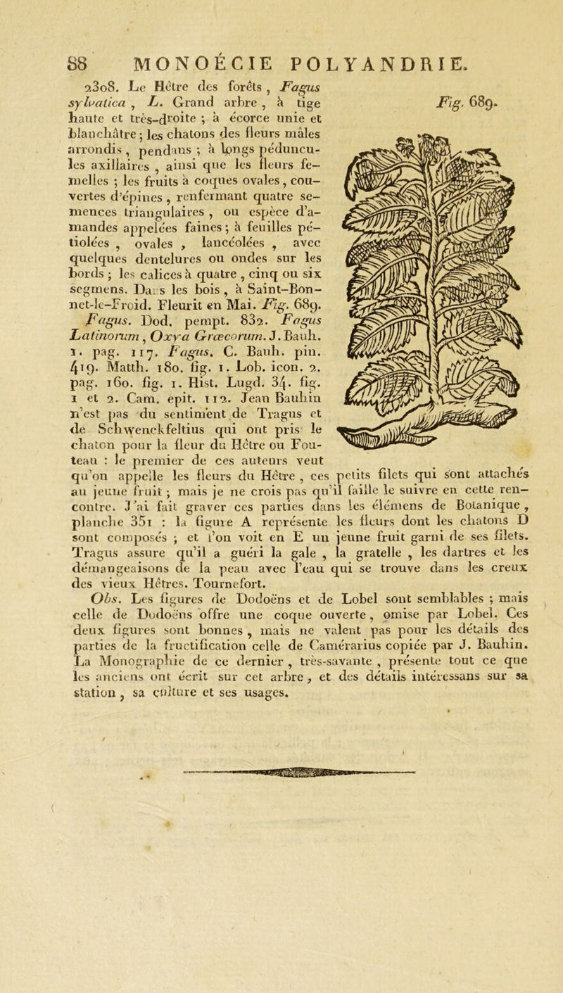 23o8. Le Hêtre (les forêts , JF'agus sylvatica , L. Grand arbre , à tige haute et très-dr°ite '■> à écorce unie et blanchâtre ; les chatons des fleurs mâles arrondis , pendans ; à l#ngs péduncu- les axillaires , ainsi que les fleurs fe- melles ; les fruits â coques ovales, cou- vertes d’épines , renfermant quatre se- mences triangulaires , ou espèce d’a- mandes appelées faines ; â feuilles pé- tiolées , ovales , lancéolées , avec quelques dentelures ou ondes sur les bords ; les calices â quatre , cinq ou six segmens. Dais les bois, à Saint-Bon- net-le-Froid. Fleurit en Mai. Fig. 689. F'agus. Dod. pempt. 832. Fogus Latinorum , Oxya Grcecorum. J. Bauh. 1. pag. 117. Fogus. C. Bauh. pin. 419. Mattli. 180. fig. 1. Lob. icon. 2. pag. 160. fig. 1. Hist. Lugd. 34- fig. 1 et 2. Cam. epit. 112. Jean Bauh in la est pas du sentiment de Tragus et de Schwenckfeltius qui ont pris le chaton pour la fleur du Hêtre ou Fou- teau : le premier de ces auteurs veut qu’on appelle les fleurs du Hctre , ces petits filets qui sont attaches au jeune fruit ; mais je ne crois pas qu’il faille le suivre en cette ren- contre. J'ai fait graver ces parties dans les élémens de Botanique, planche 351 : la figure A représente les fleurs dont les chatons D sont composés ; et l’on voit en E un jeune fruit garni de ses filets. Tragus assure qu’il a guéri la gale , la gratelle , les dartres et les démangeaisons de la peau avec l’eau qui se trouve dans les creux des vieux Hêtres. Tournefort. (Jbs. Les figures de Dodoèns et de Lobel sont semblables ; mais celle de Dodoèns offre une coque ouverte, omise par Lobel. Ces deux figures sont bonnes , mais ne valent pas pour les détails des parties de la fructification celle de Camérarius copiée par J. Bauhin. La Monographie de ce dernier , très-savante , présente tout ce que les anciens ont écrit sur cet arbre , et des détails intéressans sur sa station , sa culture et ses usages. (