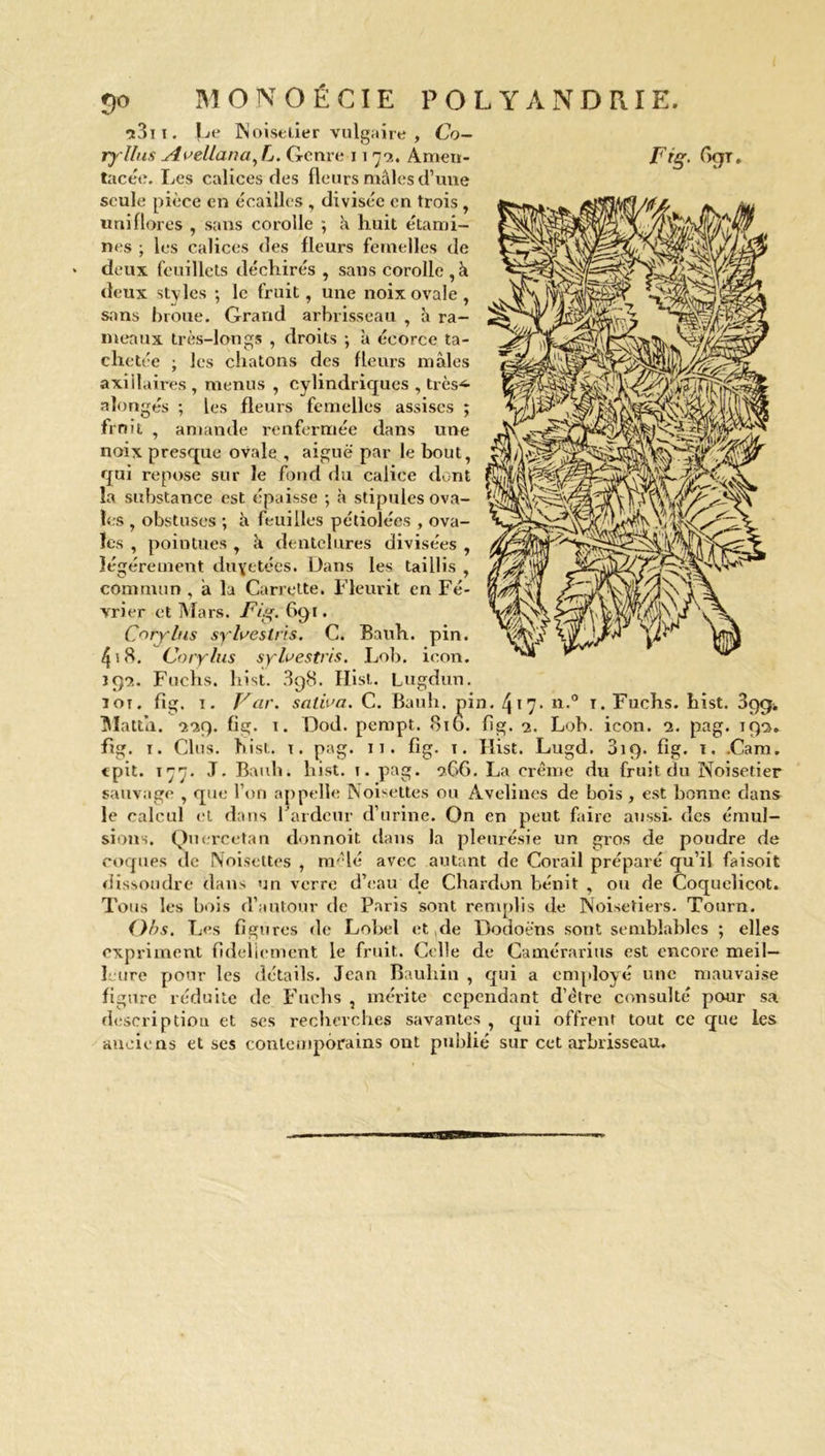 13m. î^e Noisetier vulgaire , Co- seule pièce en écailles , divisée en trois , uni flores , sans corolle j k huit étami- deux feuillets déchirés , sans corolle ,k deux styles ; le fruit, une noix ovale , sans broue. Grand arbrisseau , à ra- meaux très-longs , droits -, à écorce ta- chetée ; les chatons des fleurs mâles axiilaires, menus , cylindriques , très-*- alongés ; les fieux-s femelles assises ; finit , amande renfermée dans une noix presque ovale , aiguë par le bout, qui repose sur le fond du calice dont la substance est épaisse ; à stipules ova- les , obstuses ; à feuilles pétiolées , ova- les , pointues , k dentelures divisées , légèrement duvetées. L)ans les taillis , commun , â la Carrette. Fleurit en Fé- vrier et Mars. Fig. 691. C^rylus sylveslns. C. Bauh. pin. 4iB. Corylus sylvestris. Lob. ieon. J92. Fuchs. hist. 3g8. Hist. Lugdun. 101. fig, 1. Far. saliva. C. Bauh. pin. 4l7' n'° T* Fuchs. hist. 3gg* Matta. 229. fig. 1. Dod. pempt. 816. fig. 2. Lob. icon. 2. pag. 190. «pit. 177. J. Bauh. hist. 1. pag. 266. La crème du fruit du Noisetier sauvage , que l’on appelle Noisettes ou Avelines de bois, est bonne dans le calcul et dans Fardcur d’urine. On en peut faire aussi, des émul- sions. Quercetan donnoit dans la pleurésie un gros de poudre de coques de Noisettes , mêlé avec autant de Corail préparé qu’il faisoit dissoudre dans un verre d’eau de Chardon bénit , ou de Coquelicot. Tous les bois d’autour de Paris sont remplis de Noisetiers. Tourn. Obs. Les figures de Lobel et ,de Dodoëns sont semblables ; elles expriment fideliement le fruit. Celle de Camérarius est encore meil- leure pour les détails. Jean Bauhin , qui a employé une mauvaise figure réduite de Fuchs , mérite cependant d’ètre consulté pour sa description et ses recherches savantes , qui offrent tout ce que les anciens et ses contemporains ont publié sur cet arbrisseau.