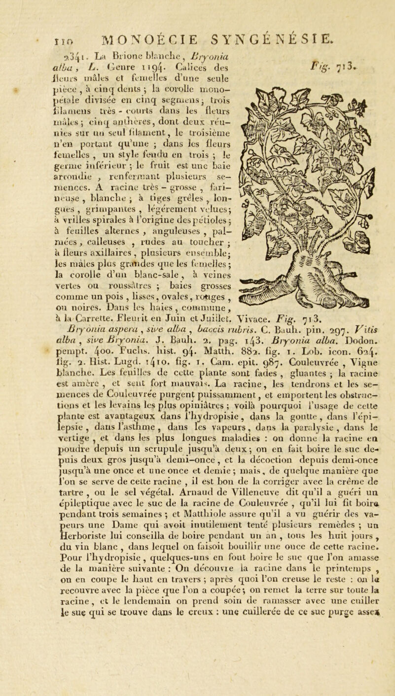 ?.34i- La Brione blanche, Bryonia ai bu., B- Genre 1194 • Calices des Fig- 713. ileurs mâles et femelles d’une seule pièce , à cinq dents ; lu corolle mono- petale divisée en cinq segmens; trois îilaniens très - courts dans les fleurs mâles; cinq anthères, dont deux réu- nies sur un seul filament, le troisième n’en portant qu’une ; dans les fleurs femelles , un style fendu en trois ; le germe inférieur ; le fruit est une baie arrondie , renfermant plusieurs se- mences. A racine très - grosse , fari- neuse , blanche ; à tiges grêles lon- gues , grimpantes , légèrement velues; à vrilles spirales à l’origine despétioles; à feuilles alternes , anguleuses , pal- mées , calleuses , rudes au toucher ; à fleurs axillaires , plusieurs ensemble • les mâles plus grandes que les femelles ; la corolle d’un b!anc-sale, h veines vertes ou roussâlres ; baies grosses comme un pois , lisses, ovales, ronges , ou noires. Dans les haies , commune, à la Carrette. Fleurit en Juin qt Juillet. Vivace. Fig. 71 3. Bry onia aspera , sive alla , baccis rubris. C. Buuh. pin. 997. Vitis alba , sive Bryonia. J. Bauh. 2, pag. i43. Bryonia alba. Dodon. pempt. 4°°' Fuclis. hist. 94. Matth. 882. fig. 1. Lob. icon. 624* iig. 2. Hist. Lugd. *410. fig. 1. Carri. epit. 987. Coulcuvrée , Vigne blanche. Les feuilles de cette plante sont fades , gluantes ; la racine est amère , et sent fort mauvais. La racine, les tendrons et les se- mences de Coulcuvrée purgent puissamment, et emportent les obstruc- tions et les levains les plus opiniâtres ; voilà pourquoi l’usage de cette plante est avantageux dans î’hydropisie, dans la goutte , dans l’épi- lepsie , dans l’asthme , dans les vapeurs, dans la paralysie, dans le vertige , et dans les plus longues maladies : on donne la racine en poudre depuis un scrupule jusqu’à deux; on en fait boire le suc de- puis deux gros jusqu’à demi-once, et la décoction depuis demi-once jusqu’à une once et une once et demie; mais, de quelque manière que l’on se serve de cette racine , il est bon de la corriger avec la crème de tartre , ou le sel végétal. Arnaud de Villeneuve dit qu’il a guéri un épileptique avec le suc de la racine de Couleuvrée , qu’il lui fit boira pendant trois semaines ; et Mattliiole assure qu’il a vu guérir des va- peurs une Dame qui avoil inutilement tenté plusieurs remèdes ; un Herboriste lui conseilla de boire pendant un an , tous les huit jours , du vin blanc , dans lequel on faisoit bouillir une once de cette racine. Pour l’hydropisie , quelques-uns en fout boire le suc que l’on amasse de la manière suivante : O11 découvre la racine dans le printemps , on en coupe le haut en travers ; après quoi l’on creuse le reste : on la recouvre avec la pièce que l’on a coupée; on remet la terre sur toute la racine, et le lendemain on prend soin de ramasser avec une cuiller le sue qui se trouve dans le creux : une cuillerée de ce suc purge asse*
