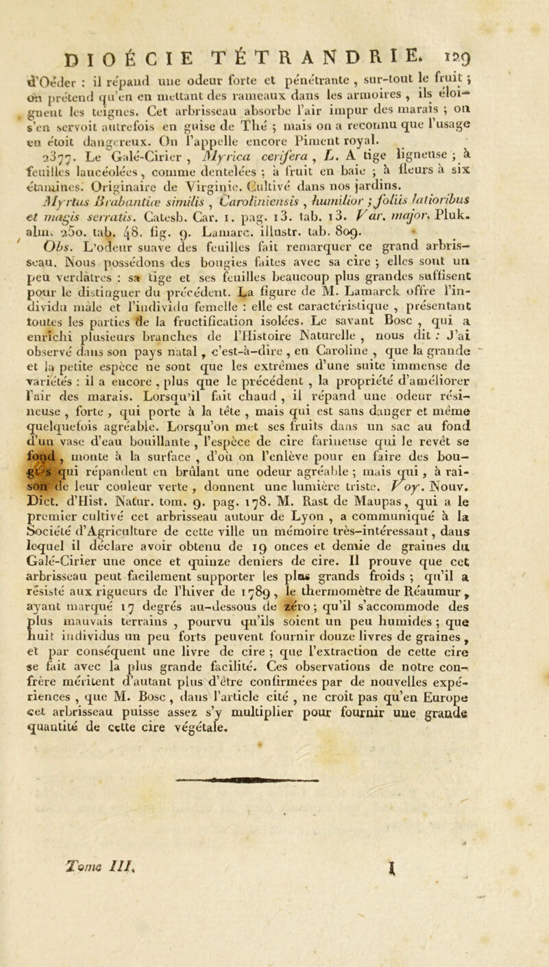 tl'Oéder : il repanrl une odeur forte et pénétrante , sur-tout le fruit oîi prétend qu’en en mettant des rameaux dans les armoires , ils éloi-* suent les teignes. Cet arbrisseau absorbe l’air impur des marais ; on s’en servoit autrefois en guise de Thé ; mais on a reconnu que l’usage en étoit dangereux. On l’appelle encore Piment royal. 2077. Le Galé-Cirier , Myrica ceiifera , L. A tige ligneuse ; à feuilles lancéolées, comme dentelées : à fruit en baie ; h Heurs a six étamines. Originaire de Virginie. Cultivé dans nos jardins. My rtus Sirabantiœ similis , Caroliniensis , humilior ; Joliis latioribus et nutgis serratis. Catesb. Car. i. pag. i3. tab. i3. Var. major* Pluk. alm. 25o. tab. Hg. 9. Lamarc. illustr. tab. 809. Obs. L’odeur suave des feuilles fait remarquer ce grand arbris- seau. Nous possédons des bougies faites avec sa cire ; elles sont un peu verdâtres : sa tige et ses feuilles beaucoup plus grandes suffisent pour le distinguer du précédent. La figure de M. Lamarck offre l’in- dividu mâle et l’individu femelle : elle est caractéristique , présentant toutes les parties de la fructification isolées. Le savant Bosc , qui a enrichi plusieurs branches de l’Histoire Naturelle , nous dit ; J’ai observé dans son pays natal , c’est-à-dire , en Caroline , que la grande ~ et la petite espèce ne sont que les extrêmes d’une suite immense de variétés : il a encore , plus que le précédent , la propriété d’améliorer Pair des marais. Lorsqu’il fait chaud , il répand une odeur rési- neuse , forte , qui porte à la tète , mais qui est sans danger et même quelquefois agréable. Lorsqu’on met ses fruits dans un sac au fond d’un vase d’eau bouillante , l’espèce de cire farineuse qui le revêt se fond , monte à la surface , d’où on l’enlève pour en faire des bou- gt s qui répandent en brûlant une odeur agréable ; mais qui, à rai- son de leur couleur verte, donnent une lumière triste. Voy. Nouv. Dict. d’Hist. Natur. tom. 9. pag. 178. M. Rast de Maupas, qui a le premier cultivé cet arbrisseau autour de Lyon , a communiqué à la Société d’Agriculture de cette ville un mémoire très-intéressant, dans lequel il déclare avoir obtenu de 19 onces et demie de graines du Galé-Cirier une once et quinze deniers de cire. Il prouve que cet arbrisseau peut facilement supporter les pins grands froids ; qu’il a résisté aux rigueurs de l’hiver de 1789, le thermomètre de Réaumur y a3rant marqué 17 degrés au-dessous de zéro; qu’il s’accommode des plus mauvais terrains , pourvu qu’ils soient un peu humides ; que huit individus un peu forts peuvent fournir douze livres de graines , et par conséquent une livre de cire ; que l’extraction de cette cire se fait avec la plus grande facilité. Ces observations de notre con- frère méritent d’autant plus d’être confirmées par de nouvelles expé- riences , que M. Bosc , dans l’article cité , ne croit pas qu’en Europe cet arbrisseau puisse assez s’y multiplier pour fournir une grande quantité de cette cire végétale. Tome III, l