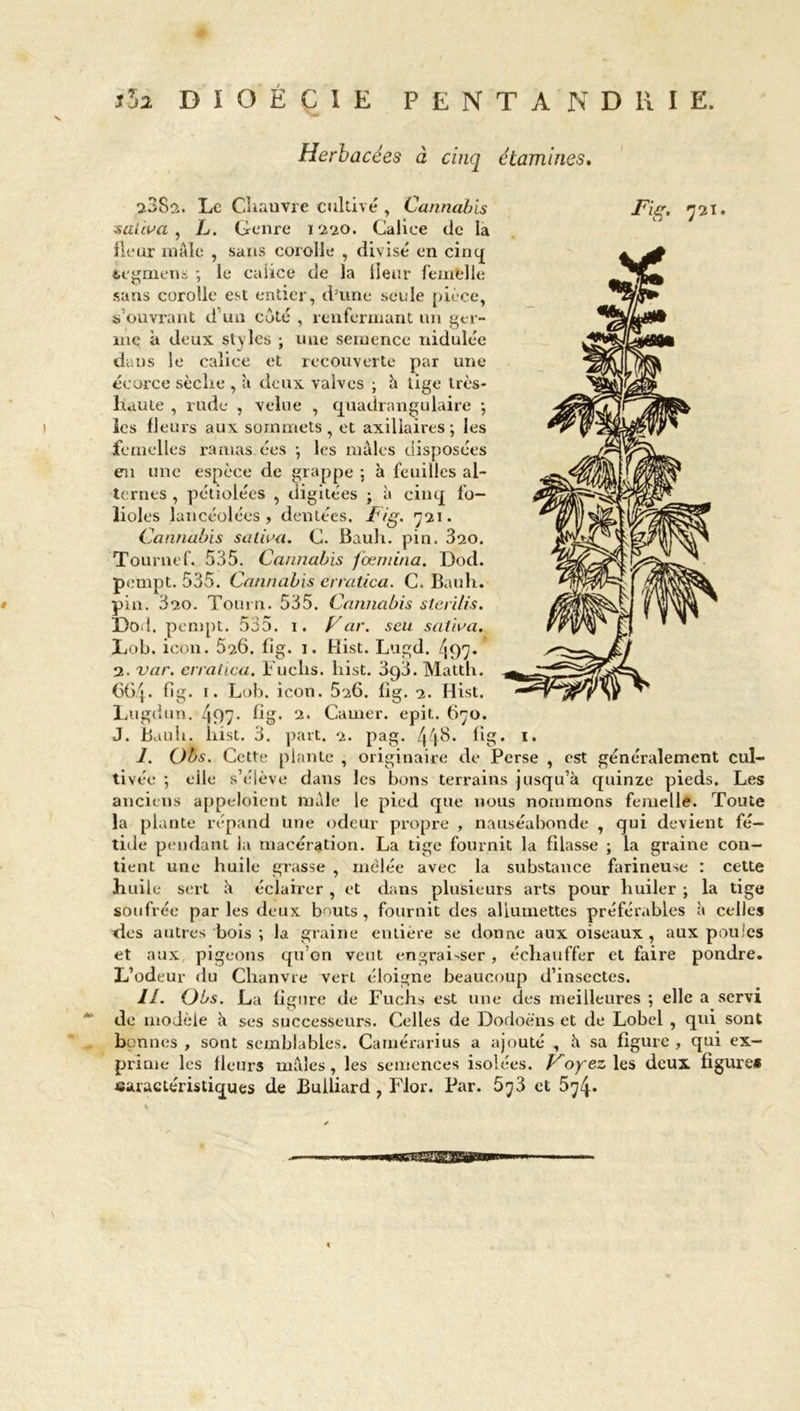 Herbacées à cinq étamines. 2382. Le Chanvre cultivé , Cannabis Fier. 721. saliva , L. Genre 1220. Calice de la ileur mâle , sans corolle , divisé en cinq tegmens ; le calice de la Heur femelle sans corolle est entier, d’une seule pièce, s ouvrant d un côté , renfermant un ger- me à deux styles ; une semence nidulée dans le calice et recouverte par une écorce sèche , a deux valves ; h tige très- haute , rude , velue , cjuadrangulaire -, les fleurs aux sommets, et axillaires; les femelles ramas ées ; les mâles disposées eai une espèce de grappe ; à feuilles al- ternes , pétiolécs , digitées ; à cinq fo- lioles lancéolées, dentées. Fig. 721. Cannabis saliva. C. Bauh. pin. 320. Tournef. 535. Cannabis fœmina. Dod. pempt. 535. Cannabis erratica. C. Bauh. pin. 320. Tourn. 535. Cannabis sterilis. Dod. pempt. 535. 1. Far. seu sativa. Lob. icon. 526. fig. 1. Hist. Lugd. 497. 2. var. erratica. Fuehs. hist. 3q3. Matth. 664. fig. 1. Lob. icon. 5a6. fig. 2. Hist. Lugdun. 497- fig» 2. Camer. epit. 670. J. Bauh. hist. 3. part. 2. pag. 44^- fig* I. Obs. Cette plante , originaire de Perse , est généralement cul- tivée ; eile s’élève dans les bons terrains jusqu’à quinze pieds. Les anciens appeloient mâle le pied que nous nommons femelle. Toute la plante répand une odeur propre , nauséabonde , qui devient fé- tide pendant la macération. La tige fournit la filasse ; la graine con- tient une huile grasse , mêlée avec la substance farineuse : cette huile sert à éclairer , et dans plusieurs arts pour huiler ; la tige soufrée par les deux bouts, fournit des allumettes préférables à celles des autres bois ; la graine entière se donne aux oiseaux, aux poules et aux, pigeons qu’on veut engraisser, échauffer et faire pondre. L’odeur du Chanvre vert éloigne beaucoup d’insectes. II. Obs. La figure de Fuchs est une des meilleures ; elle a servi de modèle à ses successeurs. Celles de Dodoèns et de Lobel , qui sont bonnes , sont semblables. Carnérarius a ajouté , à sa figure , qui ex- prime les fleurs mâles, les semences isolées. Voyez les deux figure» caractéristiques de JBulliard , Flor. Par. 573 et 574. 1.