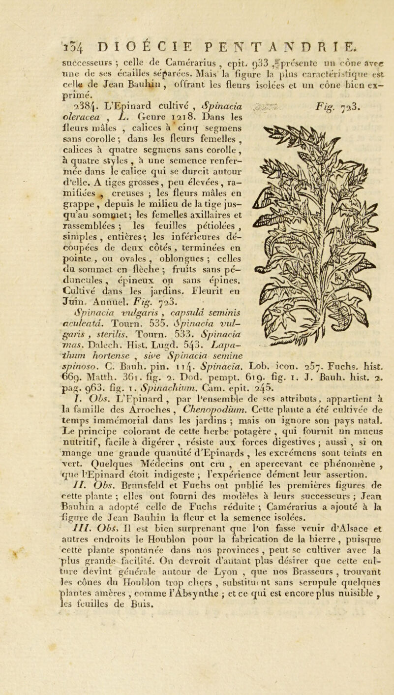 successeurs ; celle de Came'rarius , epit. q33 ^présente mi cône avec une de ses écailles séparées. Mais la figure la plus caractéristique est celle de Jean Bauhin , offrant les fleurs isolées et un cône bien ex- primé. 2384* L’Epinard cultivé , Spinacia oleracea , L. Genre 1218. Dans les fleurs mâles , calices à cinq segmens sans corolle ; dans les fleurs femelles , calices â quatre segmens sans corolle, h quatre styles , h une semence renfer- mée dans le calice qui sc durcit autour d’elle, A tiges grosses, peu élevées, ra- mifiées , creuses ; les fleurs mâles en grappe , depuis le milieu de la tige jus- qu’au somçiet ; les femelles axillaires et rassemblées ; les feuilles pétiolées , simples , entières', les inférieures dé- coupées de deux côtés , terminées en pointe , ou ovales , oblongues ; celles du sommet en flèche ; fruits sans pé- doncules , épineux ou sans épines. Cultivé dans les jardins. Fleurit en Juin* Annuel. Fig. ’j23. Spinacia vulgaris , capsula seminis (iculeatd. Tourn. 535. Spinacia vul— garis , steri/is. Tourn. 533. Spinacia mas. Dalech. Hist. Lugd. 543. Lapa— thum horlense , sine Spinacia semine spinoso. C. Bauh. pin. 114- Spinacia. Lob. icon. 257. Fuchs. hrsî. 669. Mattli. 36t. fig. 2. Dod. pempt. 619. fîg. 1. J. Bauh. hist. 2. pag. 960. fig. t. Spinachium. Cam. epit. 24Ô. I. Obs. I/Fpinard , par l’ensemble de ses attributs, appartient à la famille des Arroches , Chenopodium. Cette plante a été cultivée de temps immémorial dans les jardins ; mais on ignore son pays natal. Le principe colorant de cette herbe potagère , qui fournit un mucus nutritif, facile h digérer , résiste aux forces digestives ; aussi , si on mange une grande quantité d’Epinards , les excrémens sont teints en vert. Quelques Médecins ont cru , en apercevant ce phénomène , que l’Epinard étoit indigeste ; l’expérience dément leur assertion. II. Obs. Brunsfeld et Fuchs ont publié les premières figures de cette plante ; elles ont fourni des modèles à leurs successeurs ; Jean Bauhin a adopté celle de Fuchs réduite ; Camérarius a ajouté à la figure de Jean Bauhin la fleur et la semence isolées. III. Obi, Il est bien surprenant que l’on fasse venir d’Alsace et autres endroits le Houblon pour la fabrication de la bierre, puisque cette plante spontanée dans nos provinces , peut se cultiver avec la plus grande facilité. On devroit d’autant plus désirer que cette cul- ture devînt générale autour de Lyon , que nos Brasseurs , trouvant les cônes du Houblon trop chers , substitut nt sans scrupule quelques plantes amères , comme l’Absynthe ; et ce qui est encore plus nuisible , les feuilles de Buis.