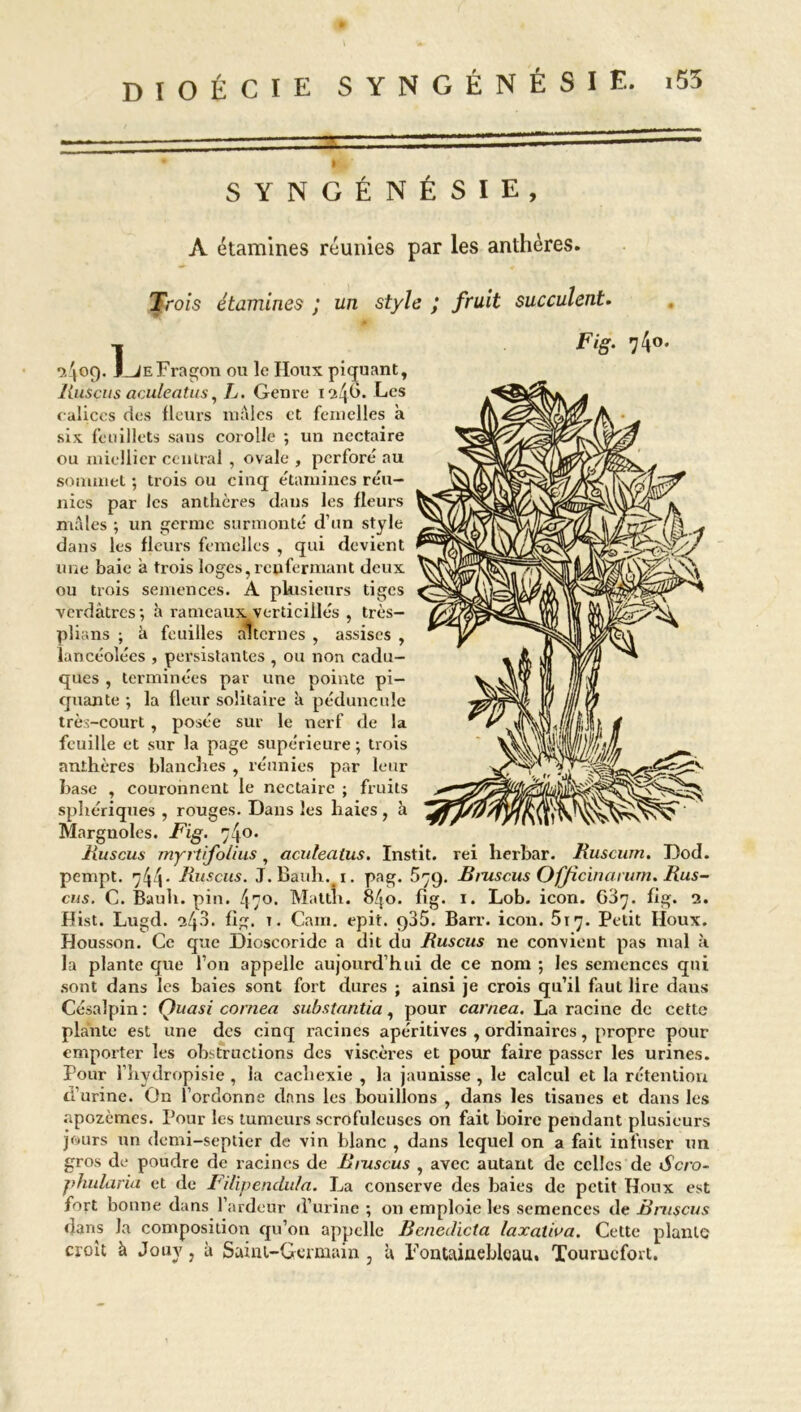 SYNGÉNÉSIE, A étamines réunies par les anthères. Trois étamines j un style . fruit succulent. ï\oQ. J^JEFragon ou le IIoux piquant, lluscus aculeatus, L. Genre 1246. Les calices des fleurs mâles et femelles à six feuillets sans corolle ; un nectaire ou miellier central , ovale , perforé au sommet ; trois ou cinq étamines réu- nies par les anthères dans les fleurs mâles ; un germe surmonté d’un style dans les fleurs femelles , qui devient une baie à trois loges, renfermant deux ou trois semences. A plusieurs tiges verdâtres; à rameaux verticiilés , très- plians ; à feuilles alternes , assises , lancéolées , persistantes , ou non cadu- ques , terminées par une pointe pi- quante ; la fleur solitaire à péduncule très-court , posée sur le nerf de la feuille et sur la page supérieure; trois anthères blanches , réunies par leur base , couronnent le nectaire ; fruits sphériques , rouges. Dans les haies , h Margnoles. -Fig- 74°* lluscus myrtifolius, aculeatus. Instit. rei herbar. Rusciun. Dod. pempt. 744. lluscus. J. Bauh. 1. pag. 579. Bmsc.us Officinarum. Rus- ons. C. Bauh. pin. ^o. Mattn. 840. fig. 1. Lob. icon. 687. fig. 2. Hist. Lugd. 243. fig. t. Caïn. epit. q35. Barr. icon. 517. Petit Houx. Housson. Ce que Dioscoridc a dit du Ruscus ne convient pas niai à la plante que l’on appelle aujourd’hui de ce nom ; les semences qui sont dans les baies sont fort dures ; ainsi je crois qu’il faut lire dans Césalpin : Quasi cornea substantia, pour carnea. La racine de cette plante est une des cinq racines apéritives , ordinaires, propre pour emporter les obstructions des viscères et pour faire passer les urines. Pour l’hydropisie, la cachexie , la jaunisse , le calcul et la rétention ti’urine. On l’ordonne dans les bouillons , dans les tisanes et dans les apozemes. Pour les tumeurs scrofuleuses on fait boire pendant plusieurs jours un demi-septier de vin blanc , dans lequel on a fait infuser un gros de poudre de racines de Riuscus , avec autant de celles de i5’cro- phularia et de Filipendula. La conserve des baies de petit Houx est fort bonne dans l’ardeur d’urine ; on emploie les semences de Bniscus dans la composition qu’on appelle Benelicta laxaüva. Cette plante croit à Jouy, à Saint-Germain , à Fontainebleau. Tourucfort.