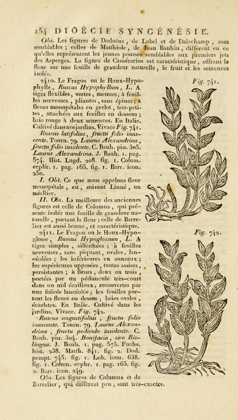 Obs. Les figures de Dodoè'ns , de Lobel et de Dalechamp , sont semblables ; celles de Matthiole , de Jean Bauhin , diffèrent en ce gu’elles représentent les jeunes pousses semblables aux premiers jets des Asperges. La figure de Camérarius est caractéristique, offrant la fleur sur une feuille de grandeur naturelle , le fruit et les semences isolés. phylle , Huscus Hypophyllum, L. A tiges flexibles, vertes, menues; h feuil- les nerveuses , pliantes , sans épines à fleurs monopétales en grelot, très-peti- tes , attachées aux feuilles en dessous ; haie rouge h deux semences. En Italie. Cultivé dansnosjardins. Vivace Fig. 741. Huscus latifolius, fructu folio inas- cente. Tourn. 79. Laurus Alexandrina , frttetu folio insidente. C. Bauh. pin. 3o5. Laurus Alexandrina. J. Bauh. 1. pag. 574. Hist. Lugd. 208. fig. ï. Colum. ecph'r. 1. pag. i65. fig. 1. Barr. icon. u5o. I. Obs. Ce que nous appelons fleur monopétale , est, suivant Linné , un mieliier. //. Obs. La meilleure des anciennes figures est celle de Columna , qui pré- sente isolée une feuille de grandeur na- turelle , portant la fleur ; celle de Barre- îier est aussi bonne , et caractéristique. glosse , Huscus Hy'poglossurn, L. A tiges simples , sillonhées ; a feuilles nerveuses , sans piquant, ovales , lan- céolées ; les inférieures en anneaux ; les supérieures opposées , toutes assises, persistantes j h fleurs , deux ou trois , portées par un péduneule très-court dans un nid écailleux, recouvertes par une foliole lancéolée ; les feuilles por- tent les fleurs en dessus ; baies ovales , écarlates. En Italie. Cultivé dans les jardins. Vivace. Fig. 742. Huscus angustifoliits , fructu folio inascente. Tourn. 79, faurus Alex a n- drina , fructu pediculo insidente. C. Bauh. pin. 3o4« Bonijacia , sive Bis- lingua. J. Bauh. 1. pag. Fuchs. hist. s38. Matth. 841. fig. 2. Dod. pempt. 745. fig. ï. Lob. icon. 638. fig. r. Colum. eephr. 1. pag. i65. fig. 2. Barr. icon. Obs. Les figures de Columna et de B irrelier , qui different peu , sont très-exactes.