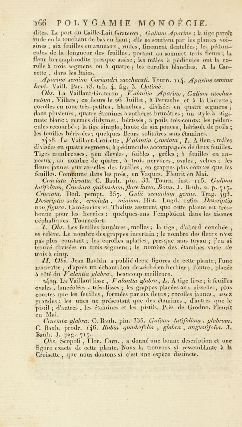 d:tes. Le port du Caille-Lait Gr a ter on, Galium Aparine ; la tige parcÆt rude en la touchant do bas en haut; elle se soutient par les plantes voi- sines ; six feuilles en anneaux, rudes, finement dentelées; les. pédun- cules de la longueur des feuilles , portant au sommet trois fleurs ; la fleur hermaphrodite presque assise; les mâles à pédicules ont la co- rolle à trois segmens ou h quatre -, les corolles blanches. A la Car- rette , élans les haies. Aparine semble Coriandri saccharati. Tourn. 114. Aparine semine Icei’i. Vaill. Par. 18. tab. \. fig. 3. Optimè. ()bs. La Vaillant-Grateron , Valantia Aparine , Galium saccha-• ralum, Villars ; en fleurs le 76 Juillet, h Perrache et à la Carrette -y corolles en roue très-petites , blanches , divisées en quatre segmens ; dans plusieurs, quatre étamines h anthères brunâtres ; un style a stig- mate blanc ; germes didymes, hérissés, à poils très-courts; les pédon- cules recourbé ; la tige simple, haute de six pouces , hérissée de poils j les feuilles hérissées; quelques fleurs solitaires sans étamines. 24*28. La Vaiilant-Croisette , V alan Lia Cruciata , L. A fleurs mâles di visées en quatre segmens; h péduncnles accompagnés de deux feuilles. Tiges nombreuses, peu élevées, foildes , grêles; à feuilles en an- neaux, au nombre de quatre, â trois nervures, ovales, velues; les fleurs jaunes aux aisselles des feuilles, en grappes plus courtes que les feuilles. Commune dans les prés, en Vaques. Fleurit en Mai. Cmciata hirsuta. C. Bauh. pin. 33. Tourn. inst. 115. Galium latifolium, Cruciata quibusdam, flore luteo. Bona. J. Bauh. 2. p. 717. Cruciata. Dod. pempt. 35^. Gain sccumhim genus. Trag. 49-L Descriptio sala, cruciata , minima. Jlist. Lugd. 1260. Descriptio non figura. Camérarius et Thalius assurent que cette plante est très- bonne pour les hernies : quelques-uns l'emploient élans les tisanes céphaliques. Tournefort. /. Oi>s. Les feuilles jaunâtres , molles ; la tige , d’abord conchée , se relève. Le nombre des grappes incertain ; le nombre des fleurs u’est pas plus constant ; les corolles aplaties, presque sans tuyau ; j’en ai trouvé divisées en trois segmens ; le nombre des étamines varie de trois â cinq. II. Qbs. Jean Bauhin a publié deux figures de cette plante; l’une mauvaise , d’après un échantillon desséché en herbier ; l’autre, placée à cAté du Valantin glabra , beaucoup meilleure. 24*29. La Vaillant lisse , Valantia glabra, L. A tige lisse; à feuilles ovales , lancéolées , très-lisses ; les grappes placées aux aisselles, plus courtes que les feuilles , formées par six fleurs; corolles jaunes , assez grandes ; les unes ne présentant que des étamines , d’autres que le pistil ; d’autres , les étamines et les pistils. Près de Grodno. Fleurit en Mai. Cruciata glabra. C. Bauh. pin. 335. Galium latifolium , glabrum. C. Bauh. prodr. 11\(\. Rubia quadrifolia , glabra , angustifolia. J. Bauh. 3. pag. 717. Obs. Scopoli , Flor. Carn. , a donné une bonne description et une figure exacte de cette plante. Nous la trouvons si ressemblante à îa Croisette , que nous douions si c’est une espèce distincte.
