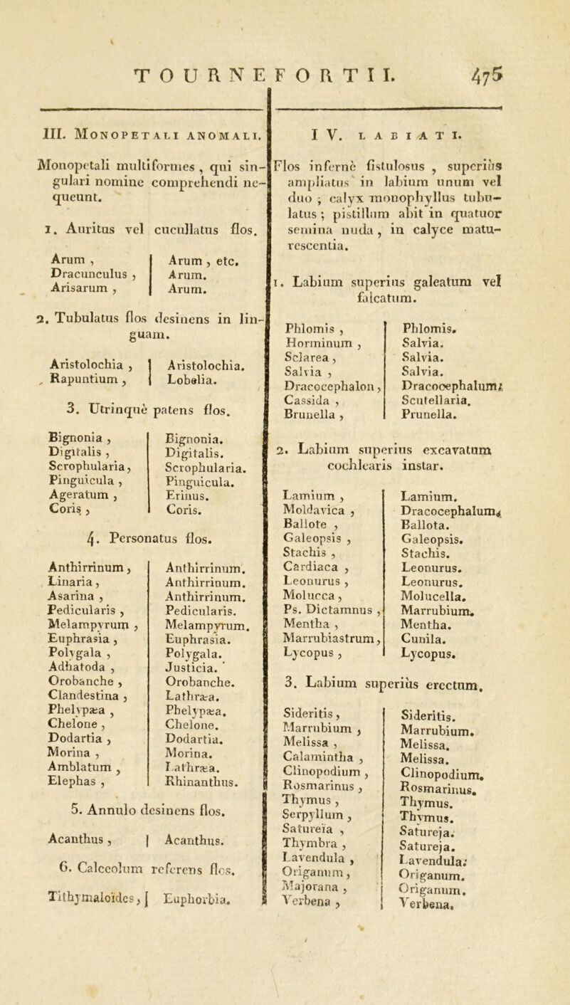 III. Monopetau ANOMALI. Monopetali multiformes , qui sin- gulari nomine comprehendi ne- queunt. I. Auritus vel cucullatus flos. Arum , Dracunculus , Arisarum , Arum , etc. Arum. Arum. 2. Tubulatus flos desinens in lin- guam. Aristolochia , , Rapuntium , Aristolochia. Lobelia. 3. Utrinquè patens flos. Bignonia , Digitalis , Scrophularia, Pinguicula , Agératum , Coris j Bignonia. Digitalis. Scrophularia. Pinguicula. Erinus. Coris. 4- Personatus flos. Anthirrinum, Linaria, Asarina , Pedicularis , Melampyrum , Euphrasia, Polvgala , Adhatoda , Orobanche , Clandestiaa , Phelvpæa , Chelone , Dodartia , Morina , Amblatum , Elephas , 5. Annulo dcsinens flos. Acanthus, | Acanthus. G. Calceolum rcferens flos. Tilhymaloidcs, { Euphoibia. IV. L A B I A T I. Flos infernc fîsttilosus , superiiis ampliatus' in labium unum vel duo ; calyx monophyllus tubu— latus ; pistillnm abit in quatuor se mina nuda , in calyce matu- rescentia. 1. Labium superius galeatum vel falcatum. Phlomis , Horminum , Sclarea, Salvia , Dracocephalon, Cassida , Brunella , Phlomis. Salvia. Salvia. Salvia. Dracooephalurru Scutellaria. Prunella. 2. Labium superius excavatum cochlearis instar. Anthirrinum. Anthirrinum. Anthirrinum. Pedicularis. Melampyrum. Euphrasia. Polvgala. Justicia. Orobanche. Lathræa. Pbelypæa. Chelone. Dodartia. Morina. Lathræa. Rhinanthus. Lamium , Moldavica , Ballote , Galeopsis , Stachis , Cardiaca , Leonurus, Molucca, Ps. Dictamnus , Mentha , Marrubiastrum, Lycopus, 3. Labium superius ercctum. Sideritis, Marrubium . Melissa , Calamintha 1 .llrwAnnrlin in Lamium. Dracocephalum* Ballota. Galeopsis. Stachis. Leonurus. Leonurus. Molucella. Marrubium. Mentha. Cunila. Lycopus. Calamintha , Clinopodium , Rosmarinus , Thymus , Serpyllum , Satureïa , Thymbra , I.avendula , Origanum, Majorana , Verbena ? Sideritis. Marrubium. Melissa. Melissa. Clinopodium. Rosmarinus. Thymus. Thymus. Satureja. Satureja. Lavendula; Origanum. Origanum. Verbena.