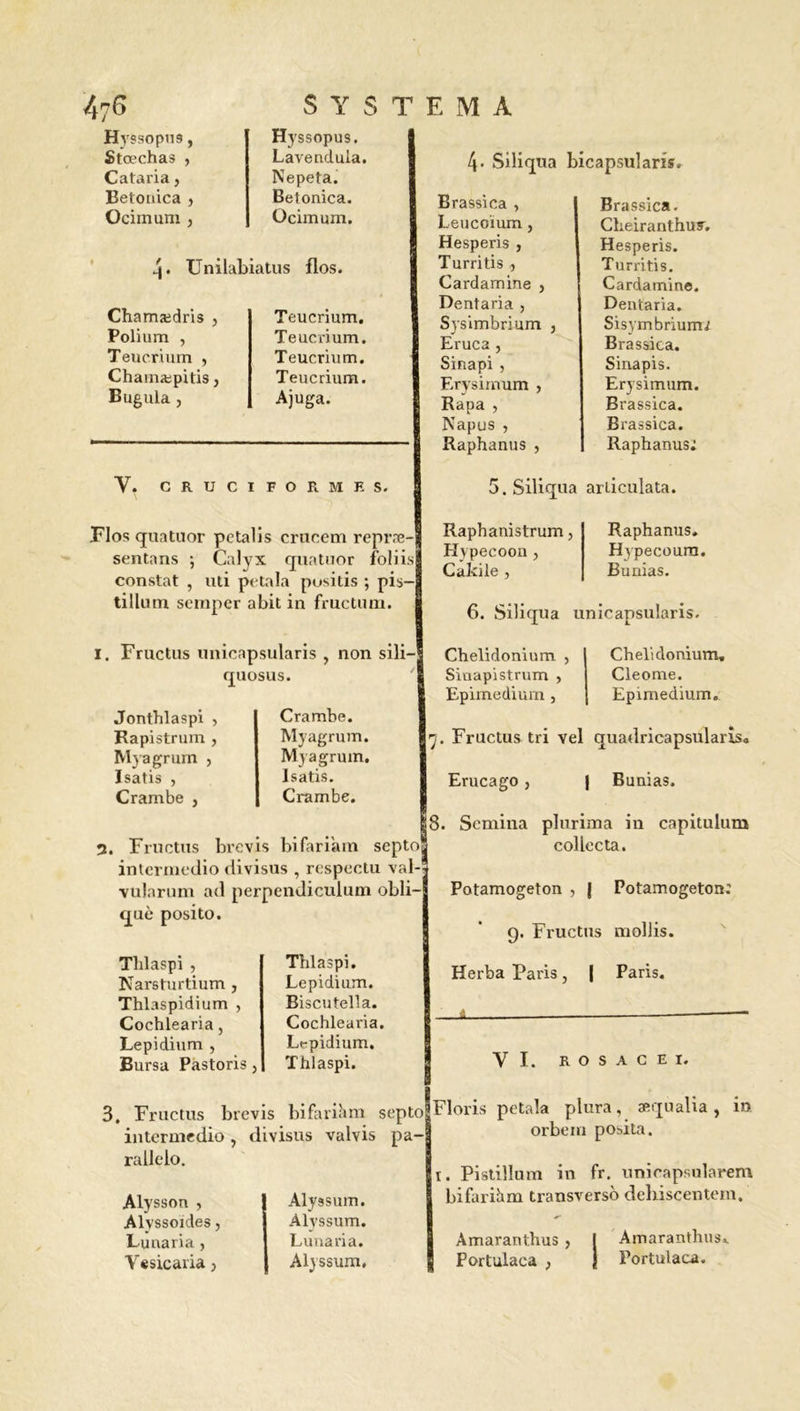 Hyssopus, Stœchas , Cataria, Betonica , Ocimum , Hyssopus. Lavendula. Nepeta. Betonica. Ocimum. 4. Unilabiatus flos. Chamædris , Poli u m , Teucrium , Chamæpitis, Bugula j Teucrium. Teucrium. Teucrium. Teucrium. Ajuga. V. CRUCIFORMES. Flos quatuor petalis crucem repræ sentons ; Calyx quatuor foliis constat , uti petala positis ; pis- tillum semper abit in fructum. I. Fructus unicapsularis , non sili— quosus. 4. Siliqua bicapsularis. Brassica , Leucoïum , Hesperis , Turritis , Cardamine , Dentaria , Sysimbrium , Eruca, Sinapi , Erysimum , Rapa , Napus , Raphanus , Brassica. Cheiranthuy. Hesperis. Turritis. Cardamine. Dentaria. Sisymbrium; Brassica. Sinapis. Erysimum. Brassica. Brassica. Raphanus; 5. Siliqua arliculata. Raphanistrum, Hypecoon , Cakile , Raphanus. Hypecoum. Bunias. 6. Siliqua unicapsularis. Jonthlaspi , Rapistrum , M} agrum , Isatis , Crambe , Crambe. Myagrum. Myagrum, Isatis. Crambe. Chelidonium , Sinapistrum , Epimedium , Chelidonium. Cleo me. Epimedium. 3. Fructus brevis bifari'am septo intermedio divisus , respcctu val-j vularum ad perpendiculum obli- qué posito. Thlaspi , Narsturtium , Thlaspidium , Cochlearia, Lepidium , Bursa Pàstoris 3 Thlaspi. Lepidium. Biscutella. Cochlearia. Lepidium. Thlaspi. 7. Fructus tri vel quadricapsularis. Erucago, | Bunias. 8. Scmina plurima in capitulum collecta. Potamogeton , J Potamogeton: g. Fructus mollis. Herba Paris, | Paris. Y I. ROSACE I. 3. Fructus brevis bi far il» ni septo Floris petala plura, æqualia, in intermedio, divisus valvis pa- ralleio. Alysson , Alyssoides, Lu naria 5 Yesicaria 3 Alyssum. Alyssum. Lunaria. Alyssum, orbein posita. ï. Pistillum in fr. unieapsularem bifarihm transverso debiscentem. Amaranthus 3 Portulaca , Amaranthus. Portulaca.
