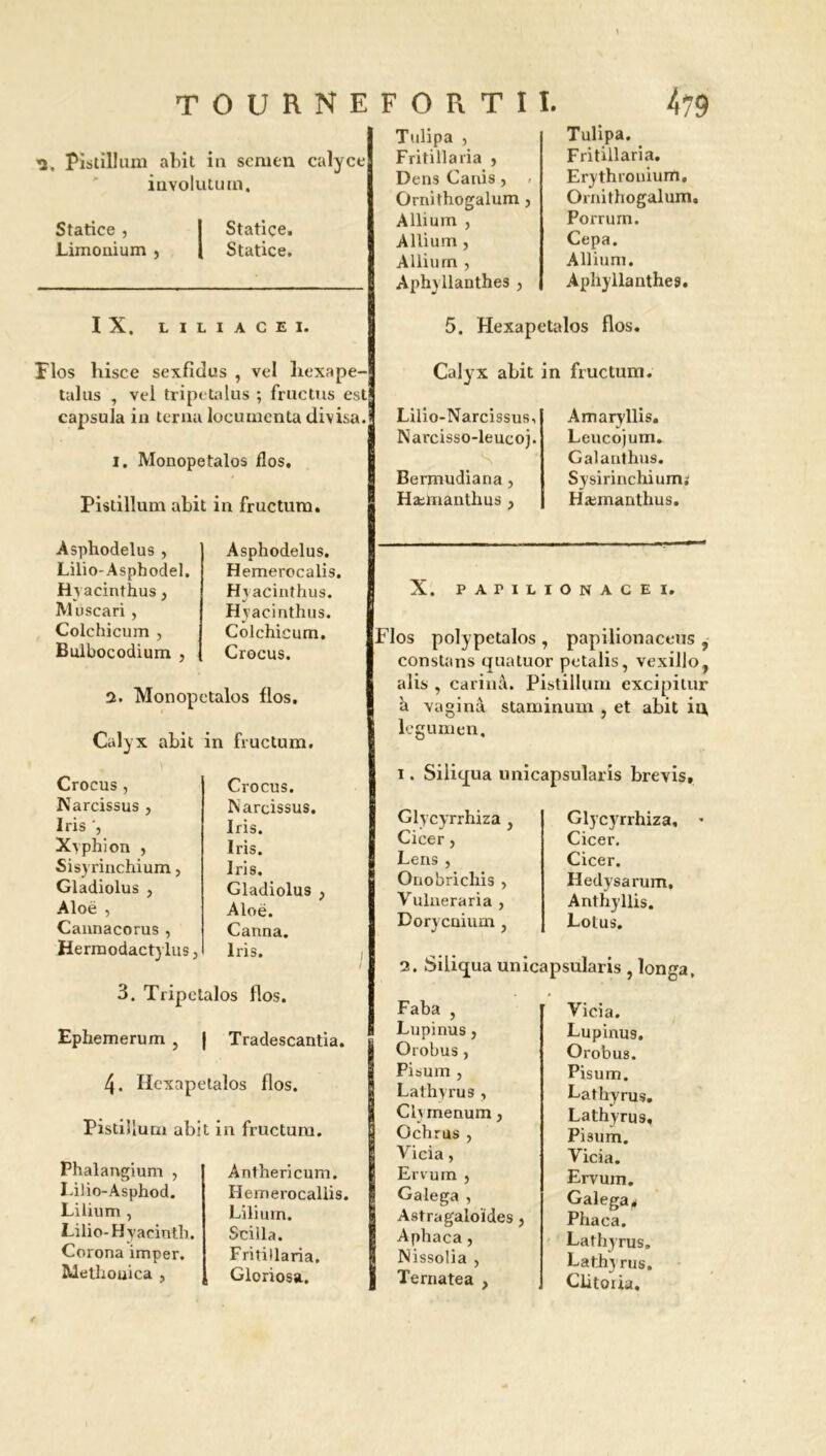 Pistillum abit in semen calyce involutum. Statice , I Statice. Limonium , l Statice. IX. LILIACEI. Flos hisce sexfidus , vel hexape- talus , vel trip< talus ; fructus est capsula in terna locumenta divisa. i. Monopetalos flos. Pistillum abit in fructum. Asphodelus , Lilio-Asphodel. Rvacinthus, M uscari, Colchicum , Bulbocodium , Asphodelus. Hemerocalis. Hvacinthus. Hyacinthus. Colchicum. Crocus. 2. Monopetalos flos. Calyx abit Crocus , Narcissus , Iris Xyphion , Sisyrinchium, Gladiolus , Aloë , Cannacorus , Hermodactylusj Crocus. Narcissus. Iris. Iris. Iris. Gladiolus Aloë. Canna. Iris. 3. Tripetalos flos. Ephemerum , | Tradesc; 4. Hcxapetalos flos. Pistiîlum abit in fructu Phalangium , Antherh Lilio-Asphod. Hemero Lilium, Lilium. Lilio-Hyacinth. Scilla. Corona imper. Fritillar Rlethouica , Gloriosî Tulipa , Fritillaria } Dens Canis , Ornithogalum , Allium , Allium , Allium , Aphyllanthes , Tulipa. Fritillaria. Erythrouium. Ornithogalum. Porrurn. Cepa. Allium. Aphyllanthes. 5. Hexapetalos flos. Calyx abit in fructum. Lilio-Narcissus, Narcisso-leucoj. Bermudiana , Hætaanthus ? Amaryllis. Leucojum. Galanthus. Sysirinchium; Hæmanthus. X. PAPILIONACEI. Flos polypetalos , papilionaceus , constans quatuor pctalis, vexillo, alis , carinâ. Pistillum excipitur à vaginâ staminum , et abit ii\ legumen. 1. Siliqua uni Glycyrrhiza , Cicer, Lens , Onobrichis , Vulneraria , Dorycuium , 2. Siliqua uni Faba , Lupinus, Orobus, Pisum , Lathyrus , Clymenum, Ochrus , Vicia, Ervum , Galega , Astragaloïdes, Aphaca, Nissolia , | Ternatea , ipsularis brevis, Glycyrrhiza, * Cicer. Cicer. Hedysarum. Anthyllis. Lotus. psularis, longa, Vicia. Lupinus. Orobus. Pisum. Lathyrus. Lathyrus, PÎ3um. Vicia. Ervum. Galega, Phaca. Lathyrus, Lathyrus. Clitoria.