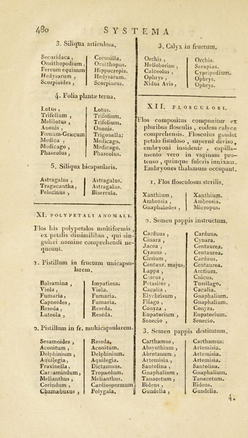 3. Siliqüa articulosa. 3. Calyx in fructum. Securidaca, Ornithopodium, Ferrum equinum Hedysarum , Scorpioïdes , Coronjlla. Ornithopus. Hippocrepis. Hedysarum. Scorpiums. 4- Folia plantæ terua. Lotus, Trifolium , Melilotus , Auonis , Fœuum-Græcum Medica , Medicago , Phaseolus , Lotus. Trifolium. Trifolium. Ononis. Trigonella: Medicago. Medicago. Phaseolus. 5. Siliqua bicapsularis. Astragalus , Tragacantha j Peleciaus , Astragalus. Astragalus. Biserrula. XI. POLY PETALï A NOM ALI. Flos liis polypetalos inultiformis , ex petalis dissimilibus , qui sin- guîari uomine comprehendi ue queuut. 5. Pistillum in fructum unicapsu-j larem. Orchis , Helleborine , Calceolus , Ophrys , Nidus Avis, Orchis. Serapias. Cypripedium, Ophrys. Ophrys. Balsamina , Viola, Fumaria, Capnoïdes, Réséda, Luteola , Impatiens; Viola. Fumaria. Fumaria. Réséda. Réséda. 2. Pistillum in fr. multicapsularcm, Sesamoïdes , Aconitum , Delphinium , Aquilegia, Fraxinella, Car amindum, Melianthus , Corindum , Chamæbuxus , Réséda, Aconitum. Delphinium. Aquilegia. Dictamuus. Tropæolum. Melianthus. Cardiosperinum Polygala. XII, ÏIOSCULOSI, los compositus componitur ex pluribus flosculis , eodem calvce compreliensis. Floscuius gaudet petalo fisiuloso , supernè diviso, embryoni insidente , capilla— mento vero in vaginam pro- tenso , quinque fulcris innixam. Embryones tbalamum occupant. i. Flos flosculosus sterilis. Xanthium, Ambrosia , Gnaphalodes , Xanthium. Ambrosia. Micropus.- 2. Semen pappis instructum, Carduus , Cinara , Jacea , Cyanus , Cirsium, Centaur. majus, Lappa , Cuicus, Petasites , Cacalia , Elychrisum, Filago , Conyza , Eupatorium , Senecio , 3. Semen pappis destitutum, Carthamus, Absynthium , Carduus-, Cynara. Centaurea. Centaurea, Carduus. Centaurea. Arctium. Cnicus. Tussilage. Cacalia. Gnaphalium, Gnaphalium. Conyza. Eupatorium. Senecio. j... , Abrotanum , Artemisia , Santolina , Gnaphalium Tanaeetum , Bidens , g Guudelia, Carthamus; Artemisia. Artemisia. Artemisia. Santolina. Gnaphalium, Tanaeetum. Bidens. Gundelia. 4.