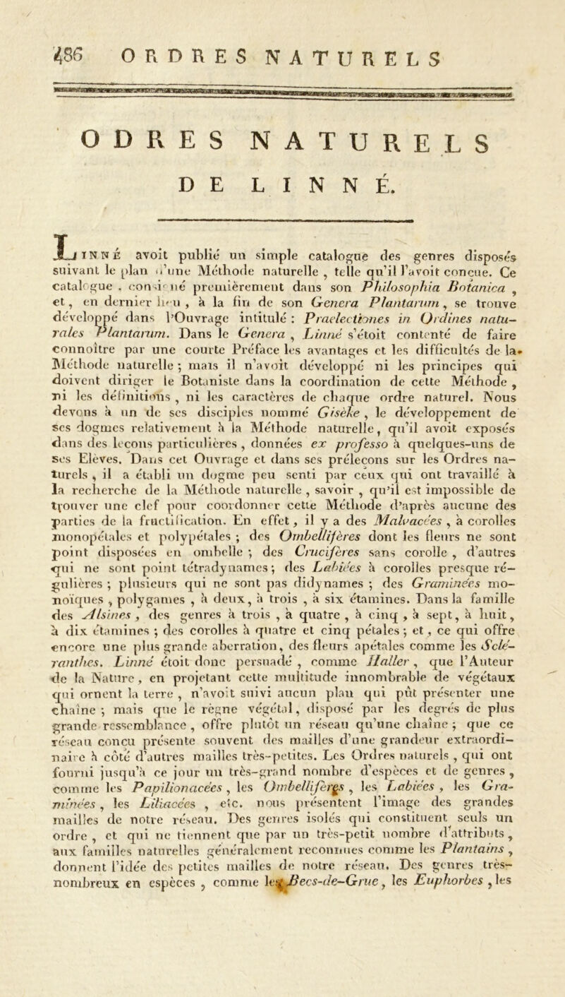 ODRES NATURELS DE LINNÉ. Ï-IINNÉ avoit publié un simple catalogue des genres disposés suivant le plan u’une Méthode naturelle , telle qu’il l’avoit conçue. Ce catalogue . consigné premièrement dans son Philosophia Uotanica , et, en dernier ln u , à la fin de son Gênera Plantarum, se trouve développé dans l’Ouvrage intitulé : Praelectiones in Qrdines natu- ra/es Plantarum. Dans le Généra , Linné s’étoit contenté de faire connoître par une courte Préface les avantages et les difficultés de la- Méthode naturelle ; mais il n’a voit développé ni les principes qui doivent diriger le Botaniste dans la coordination de cette Méthode , ni les définitions , ni les caractères de chaque ordre naturel. Nous de vans à un de ses disciples nommé Gisèke , le développement de scs dogmes relativement h la Méthode naturelle, qu’il avoit exposés dans des leçons particulières, données ex professo à quelques-uns de ses Elèves. Dans cet Ouvrage et dans ses prélecons sur les Ordres na- turels , il a établi un dogme peu senti par ceux qui ont travaillé à la recherche de la Méthode naturelle , savoir , qu’il est impossible de trouver une clef pour coordonner cette Méthode d’après aucune des parties de la fructification. En effet, il y a des Malvacées , à corolles monopélalcs et poly[létales ; dos Ombellifères dont les fleurs ne sont point disposées en ombelle •, des Crucifères sans corolle , d’autres <jui ne sont point tétradynames ; des Labiées à corolles presque ré- gulières ; plusieurs qui ne sont pas didynames ; des Graminées mo- noïques , polygames , b deux, à trois , a six étamines. Dans la famille des Alsïnes , des genres à trois , à quatre , à cinq , & sept, à huit, à dix étamines ; des corolles h quatre et cinq pétales; et , ce qui offre encore une plus grande aberration, des fleurs apétales comme les Sclé- ranthes. Linné étoit donc persuadé , comme Haller , que l’Auteur de la Nature, en projetant cette multitude innombrable de végétaux qui ornent la terre , n’avoit suivi aucun plan qui put présenter une chaîne; mais que le règne végétal, disposé par les degrés de plus grande ressemblance , offre plutôt un réseau qu’une chaîne ; que ce réseau concu présente souvent des mailles d’une grandeur extraordi- naire h côté d’autres mailles très-petites. Les Ordres naturels , qui ont fourni jusqu’il ce jour un très-grand nombre d’espèces et de genres , comme les Papilionacées , les Ombellifères , les Labiées , les Gra- minées , les Liliacces , e«c. nous présentent l’image des grandes mailles de notre réseau. Des genres isolés qui constituent seuls un ordre , et qui ne tiennent que par un très-petit nombre d’attributs, aux familles naturelles généralement reconnues comme les Plantains , donnent l’idée des petites mailles de notre réseau. Des genres très- nombreux en espèces , comme lejjg Jjecs-de-Grue, les Euphorbes , les