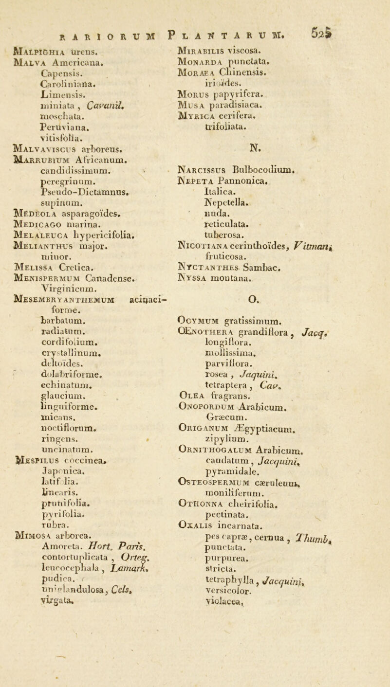 Maipï&hia urcns. Malva Americana. Capensis. Caroüuiana. Liimensis. uiiniata , Cavunïl» mosclmta. Perüviana. vitisfolia. Malvaviscus arboreus. Marrubium Africanum. candidissimum. peregrinum. Pseudo-Dictamnus. supimun. IVIedeola asparagoïdes. Medicago marina. Melaleuca hypericifolia. Melianthus major, minor. Melï9Sa Crclica. Menispermum Canadense. Virgin icum. Mesembryanthemum acirjaci- forme, barbatum. radiatum. cordi folium, cry^tallinum. deltoïdes, dolabriforme. eehinatum. glaucium. linguiforme. micans. noctiflorum. l'ingens. uneinatnm. Mespilus coceinea. Japcnica. latif lia. lin earis. pruni folia, pyrifolia. rubra. Mimosa arbores. Amoreta. Hort„ Paris. contortuplicata , Orîeg. lencocephala , Lamark. piidiea, / rndelandulosa, Cels, virgata. Plahtarum. Mirabilis viscosa. Monarda punctata. Moraea Cliinensis. irioïdes. Morus papyrifera. Musa paradisiaca. Myrica cerifera. trifoliata. N. Narcisses Bulbocodiiun. Nepeta Pannonica. Italica. Nepctclla. nuda. reticulata. tuberosa. Nicoti an a cerinthoïdes, Vitmarii frudcosa. Nyctanthes Sambac. Nyssa moutana. O. Ocymum gratissimum. OEjnothera grandiflora , Jacq, longiflora. mollissima. parviflora. rosea , Jaquini. tetraptera , Cdu. Ole a fragrans. Onopordum Arabicum. Græcum. Origanum Ægyptiacum. zipylium. Orniteiogall'm Arabicum. caudatum, Jactjaini* pyramidale. Osteospermum cæruleimt. monilifcrum. Othonna clieirifolia. pectinata. Oxalis incarnata. pes f apræ, cernua , Thumb, punctata. purpurea. stricla. tetraphylla, Jaccjuir.u versicolor. violacea,