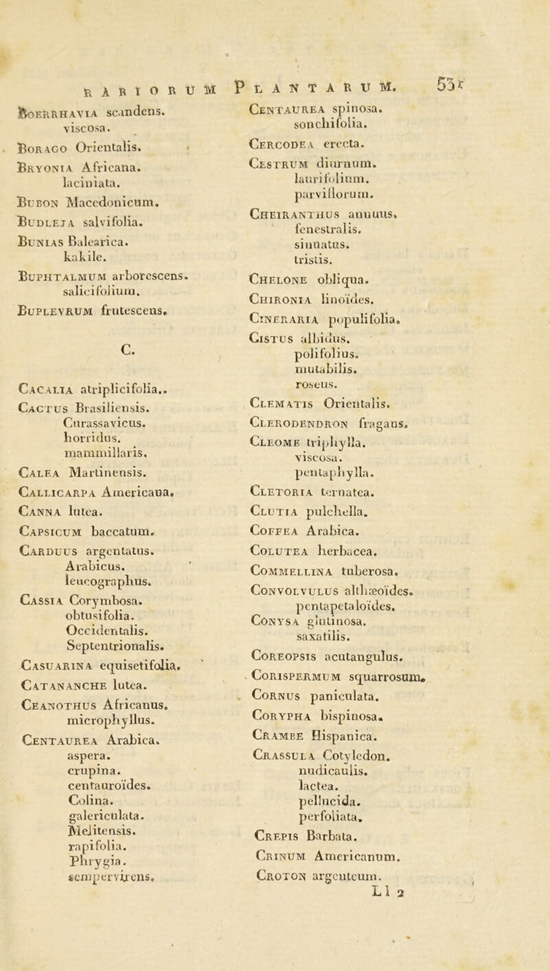 Boerrhavia scandens. vise osa. Boraco Orientalis. Bryonia Africana. laciniata. Bubon Macedonicum. Budleja salvifolia. Bunias Balearica. kakile. Büphtalmüm arborcscens, salie ifoJiuui. Buplevrum frutescens, C. Cacalia atriplicifolia.. Cactus Brasiliensis. Cnrassavicus. horridus. mammillaris. Calea Martinensis. Callicarpa Àtnericaua. Canna lutea. Capsicum baccatum. Carduus argentatus. Arabicus. le ucogra plans. Cassia Corymbosa. obtusifolia. Occidcntalis. Septentrionalis. Casuarina equisetifolia. Catananche lutea. Ceanothus Africanus. microphyllus. Centaurea Arabica, aspera. crupina. centauroïdes. Colina. galericulata. jVieiitensis. ra pi folia. Phrygia. sempervirens. P L A S T A R V M. Centaurea spinosa. son cli i folia. Cercodea erecta. Cestrum diurnum. laurilblium. parvillorum. Cheiranthus annuus. fenestralis. sinnatus. irislis. Chelone obliqua. Chironia linoïdes. Cineraria populifolia. Cistus albidus. polifolius. mutabilis. ro.se us. Clf.matis Orientalis. Clerodendron fragans. Cleome tripbylîa. viseosa. penlapbylla. Cletoria ternatca. Clutia pulchella. Coffea Arabica. Colutea herbacea. Commellina tuberosa. Convolvulus altbæoïdcs. pcnlapetaloïdes. Cônysa giutinosa. saxa tilis. Coreopsis acutanguîus. Corispermum squarrosum. Cornus paniculata. Corypha bispinosa. Crambe Hispanica. Crassula Cotylédon, nudicaulis. lactea. pellucida. perfoliata. Crépis Barba ta. Crinum Aniericamim. Croton argeuteum. L1 2