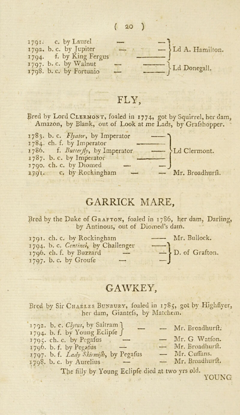 1791 * c* by Laurel 1792. b. c. by Jupiter 1794. f. by King Fergus 1797. b. c. by Walnut 1795. b. c. by Fortunio Ld A. Hamilton. j' Ld Donegal 1 FLY, Bred by Lord Clermont, foaled in 1774, got by Squirrel, her dam, Amazon, by Blank, out of Look at me Lads, by Grafshopper. 1783. b. c. Flyator, by Imperator *\ 1784. ch. f. by Imperator — I 1786. f. Butterfly, by Imperator fLd Clermont. j 787. b. c. by Imperator I 1790. ch. c. by Diomed — —J j 79' 1. c. by Rockingham — — Mr. Broadhurft. GARRICK MARE, Bred by the Duke of Grafton, foaled in 1786, her dam, Darling, by Antinous, out of Diomed’s dam. 1791. ch. c. by Rockingham 1794. b. c. Ccntinel, by Challenger 3796. ch. f. by Buzzard 1797. b. c. by Groufe —- Mr. Bullock. D. of Grafton. GAWKEY, Bred by Sir Charles Bunbury, foaled in 178^, got by Highflyer, her dam, Giantefs, by Matchem. 1792. b. c. Clytus, by Saltram J 1794. b. f. by Young Eclipfe J 1795. ch. c. by Pegafus ■— 3796. b. f. by Pegafus — 1797. b. f. Lady Skirmijb, by Pegafus 3 798. b. c. by Aurelius — The filly by Young Eclipfe died — Mr. Broadhurft: — Mr. G Watfon. — Mr. Broadhurft. — Mr. Cufians. — Mr. Broadhurft. at two vrs old. YOUNG