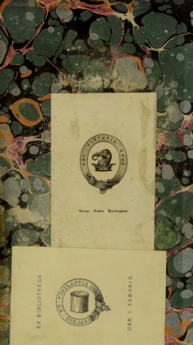 digitised image 2
