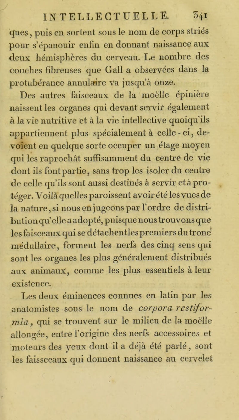 ques 5 puis en sortent sous le nom de corps striés pour s’épanouir enfin en donnant naissance aux deux hémisphères du cerveau. Le nombre des couches fibreuses que Gall a observées dans la protubérance annulaire Va jusqu’à onze. Des autres faisceaux de la moelle épinière naissent les organes qui devant servii” également à la vie nutritive et à la vie intellective quoiqu’ils appartiennent plus spécialement à celle-ci, dé- voient en quelque sorte occuper un étage moyen qui les raprochât suffisamment du centre de vie dont ils font partie, sans trop les isoler du centre de celle qu’ils sont aussi destinés à servir et à pro- téger. Voilà quelles paroissent avoir été les vues de la nature, si nous en jugeons par Tordre de distri- bution qu elle a adopté, puisque nous trouvons que les faisceaux qui se détachent les premiers du tronc médullaire, forment les nerfs des cinq sens qui sont les organes les plus généralement distribués aux animaux, comme les plus essentiels à leur existence. Les deux éminences connues en latin par les anatomistes sous le nom de corp or a restifor- mîa, qui se trouvent sur le milieu de la moelle allongée, entre Torigine des nerfs accessoires et moteurs des yeux dont il a déjà été parlé, sont les fuissceaux qui donnent naissance au cervelet
