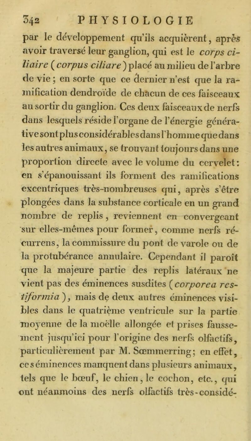 par le développement qu’ils acquièrent, après avoir traversé leur ganglion, qui est le corps ci- liaire ( corpus ciliare ) placé au milieu de l’arbre de vie ; en sorte que ce dernier n’est que la ra- mification dendroide de chacun de ces faisceaux au sortir du ganglion. Ces deux faisceaux de nerfs dans lesquels réside T organe de l’énergie généra- tive sont plus considérables dans rhomme que dans les autres animaux, se trouvant toujours dans une proportion directe avec le volume du cervelet : en s’épanouissant ils forment des ramifications excentriques très-nombreuses qui, après s’être plongées dans la substance (corticale en un gi’and nombre de replis , reviennent en convergeant sur elles-mêmes pour former, comme nerfs ré- currens, la commissure du pont de varole ou de la protubérance annulaire. Cependant il paroît que la majeure partie des replis latéraux ne vient pas des éminences susdites ( corporea res- liformia), mais de deux autres éminences visi- bles dans le quatrième ventricule sur la partie Tno3*enne de la moelle allongée et prises fausse- ment jusqu’ici pour l’origine des nerfs olfactifs, particulièrement par M. Sœmmerring; en effet, ces éminences manquent dans plusieurs animaux, tels que le bœuf, le chien, le cochon, etc., qui ont néanmoins des nerfs olfactifs très-considé-