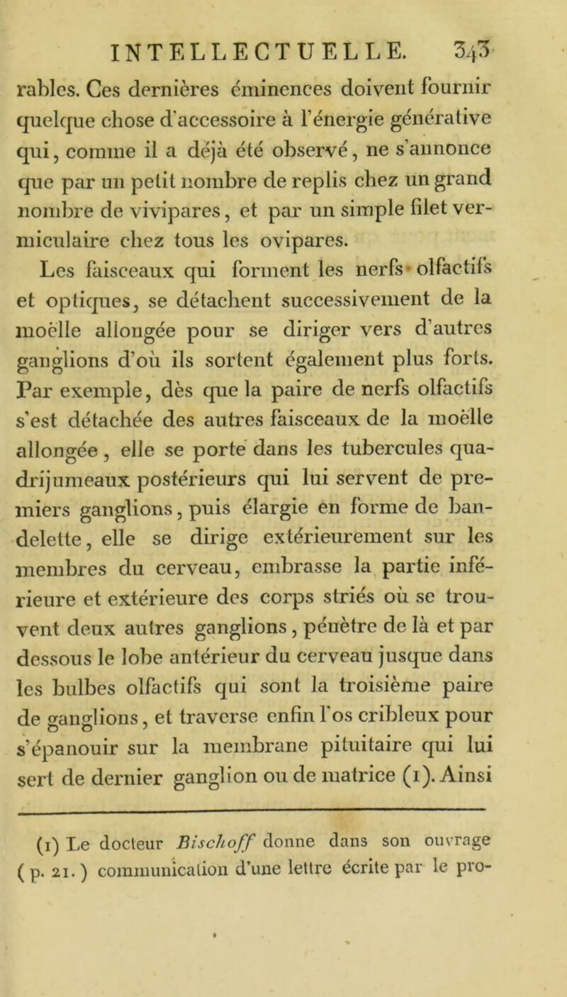 rablcs. Ces dernières éminences doivent fournir quelque chose d'accessoire à l’énergie générative qui, comme il a déjà été observé, ne s’annonce que par un petit nombre de replis chez un grand nombre de vivipares, et par un simple filet ver- miculaire chez tous les ovipares. Les faisceaux qui forment les nerfs* olfactifs et optiques, se détachent successivement de la moelle allongée pour se diriger vers d’autres ganglions d’où ils sortent également plus forts. Par exemple, dès que la paire de nerfs olfactifs s’est détachée des autres faisceaux de la moelle allongée, elle se porte dans les tubercules qua- drijumeaux postérieurs qui lui servent de pre- miers ganglions, puis élargie en forme de ban- delette, elle se dirige extérieurement sur les membres du cerveau, embrasse la partie infé- rieure et extérieure des corps striés où se trou- vent deux autres ganglions, pénètre de là et par dessous le lobe antérieur du cerveau jusque dans les bulbes olfactifs qui sont la troisième paire de ganglions, et traverse enfin fos cribleux pour s’épanouir sur la membrane pituitaire qui lui sert de dernier ganglion ou de matrice (i). Ainsi (i) Le docteur Bischoff donne dans sou ouvrage ( p. 21.) comiuunicalion d’une lettre écrite par le pro-
