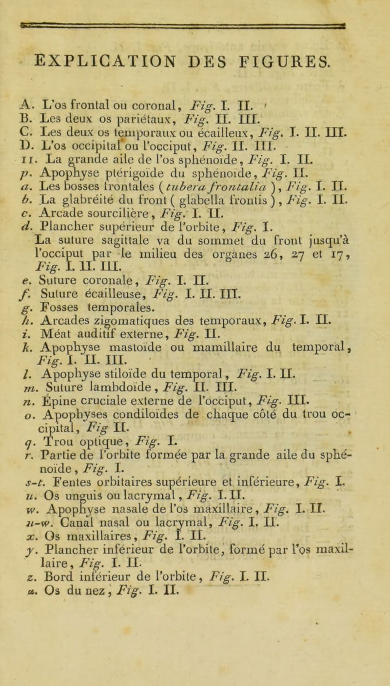 EXPLICATION DES FIGURES. A. L’os frontal ou coronal, Fig.l. II. ' 13. Les deux os pariétaux, Fig. II. III. C. Les deux os temporaux ou écailleux, Fig. I. II. III. D. L’os occipitarou l’occiput, Fig. II. III. II. La srande aile de l’os sphénoïde, Fig. I. II. р. Apo^yse ptérigoïde du sphénoïde, Fig. II. а. Les bosses Irontales ( tubera frontalia ) , Fig. I. II. б. La glabréité du front ( glabella fronlis ), Fig. I. II. с. Arcade sourcilière, Fig. I. II. d. Plancher supérieur de l'orbite, Fig. I. La suture sagittale va du sommet du front jusqu’à le milieu des organes 26, 27 et 17, e. Suture coronale, Fig. I. II. f. Suture écailleuse, Fig. I. II. III. g. Fosses temporales. h. Arcades zigoraafiques des temporaux, Fig.l. II. i. Méat auditif externe, Fig. II. h. Apophyse mastoïde ou mamillaire du temporal, l. Apophyse stiloïde du temporal, Fig. I. II. m. Suture lambdoïde, Fig. II. III. n. Épine cruciale externe de l’occiput, Fig. III. O. Apophyses condiloides de chaque côté du trou oc- cipital, Fig II. {J. Trou optique, Fig. I. r. Partie de l’orbite formée par la grande aile du sphé- noïde , Fig. I. s-t. Fentes orbitaires supérieure et inférieure, Fig. I. it. Os unguis ou lacrymal, Fig. I. II. w. Apophyse nasale de l’os maxillaire, Fig. I. II. n-w. Canal nasal ou lacrymal, Fig. I. U. X. Os maxillaires, Fig. I. IL y. Plancher inférieur de l’orbite, formé par l’os maxil- laire, Fig. I. II. Z. Bord inférieur de l’orbite, Fig. I. II. ». Os du nez \ Fig. I. II. Fig. 1. II. III.